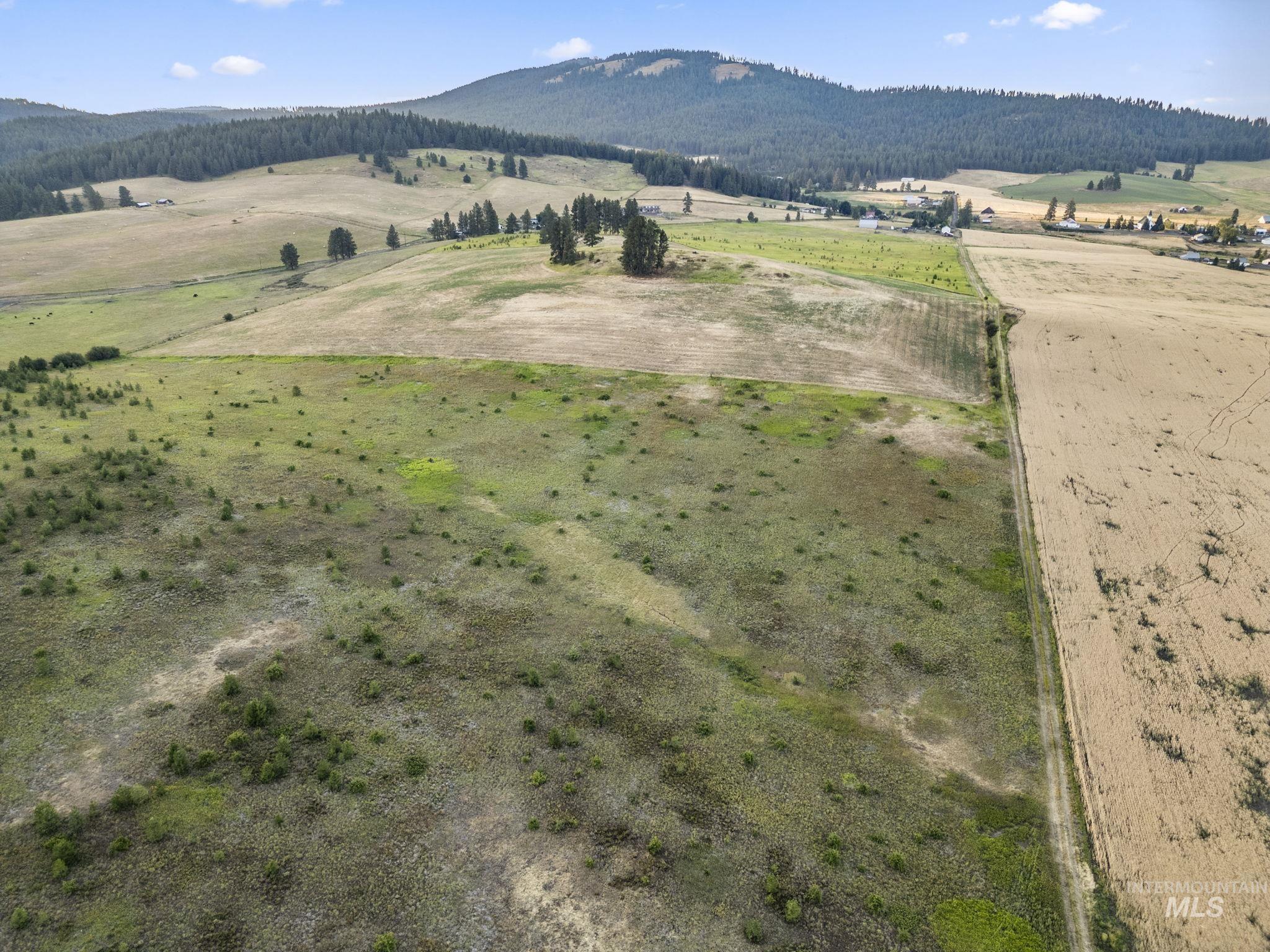 Tbd Keuterville Road Property Photo 15