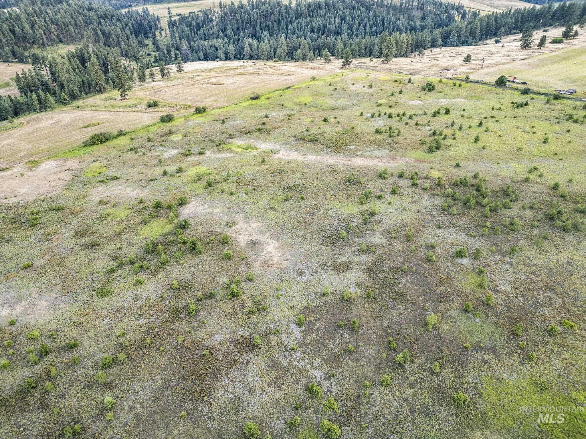 Tbd Keuterville Road Property Photo 17