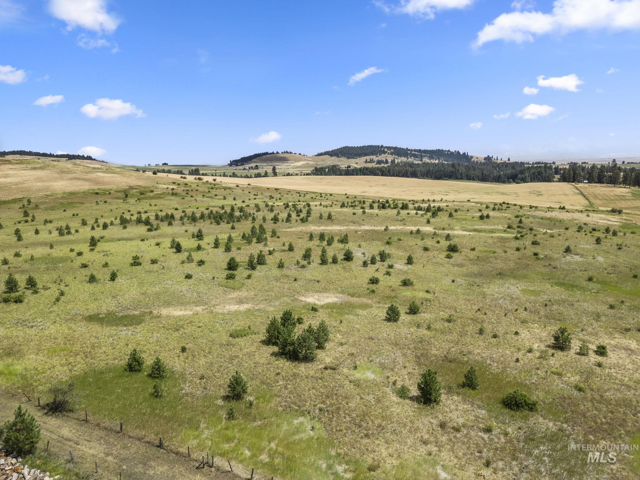 Tbd Keuterville Road Property Photo 19