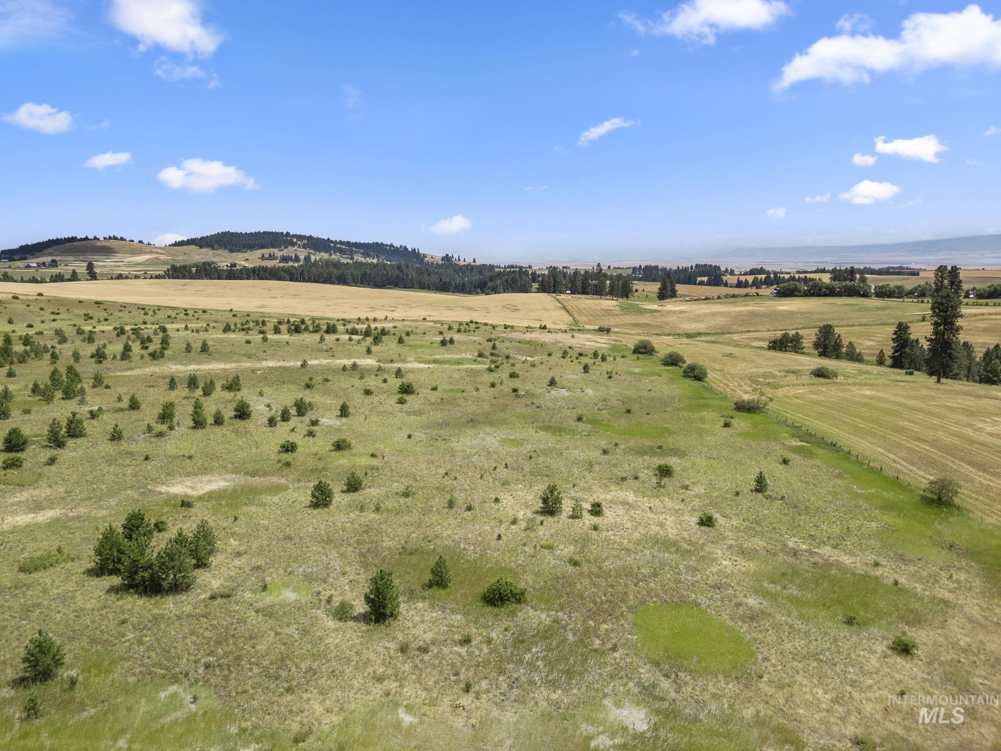 Tbd Keuterville Road Property Photo 20