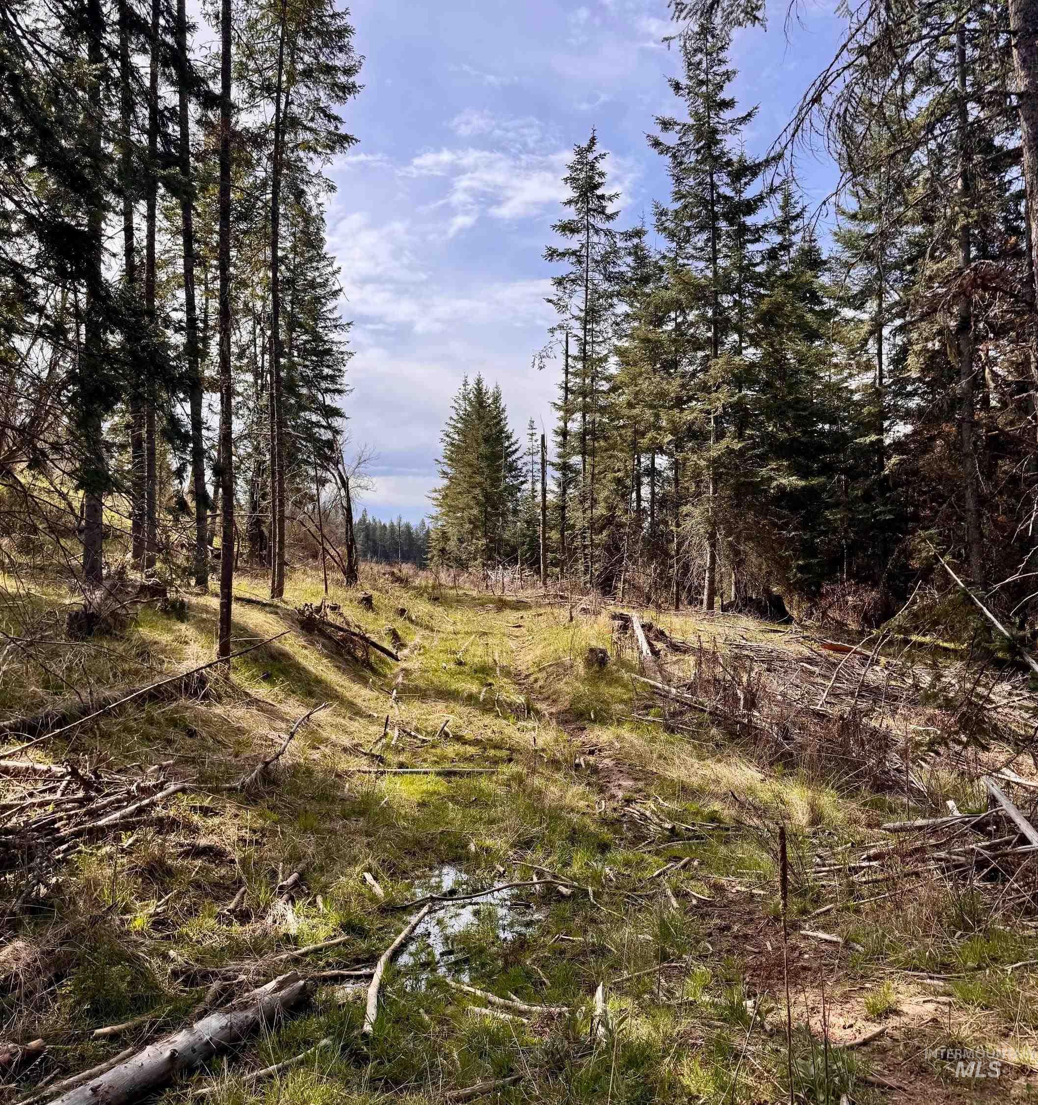 Tbd Harris Ridge Rd Property Photo 3