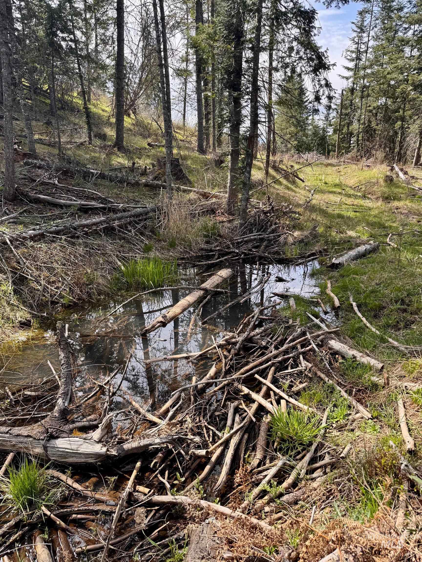 Tbd Harris Ridge Rd Property Photo 4