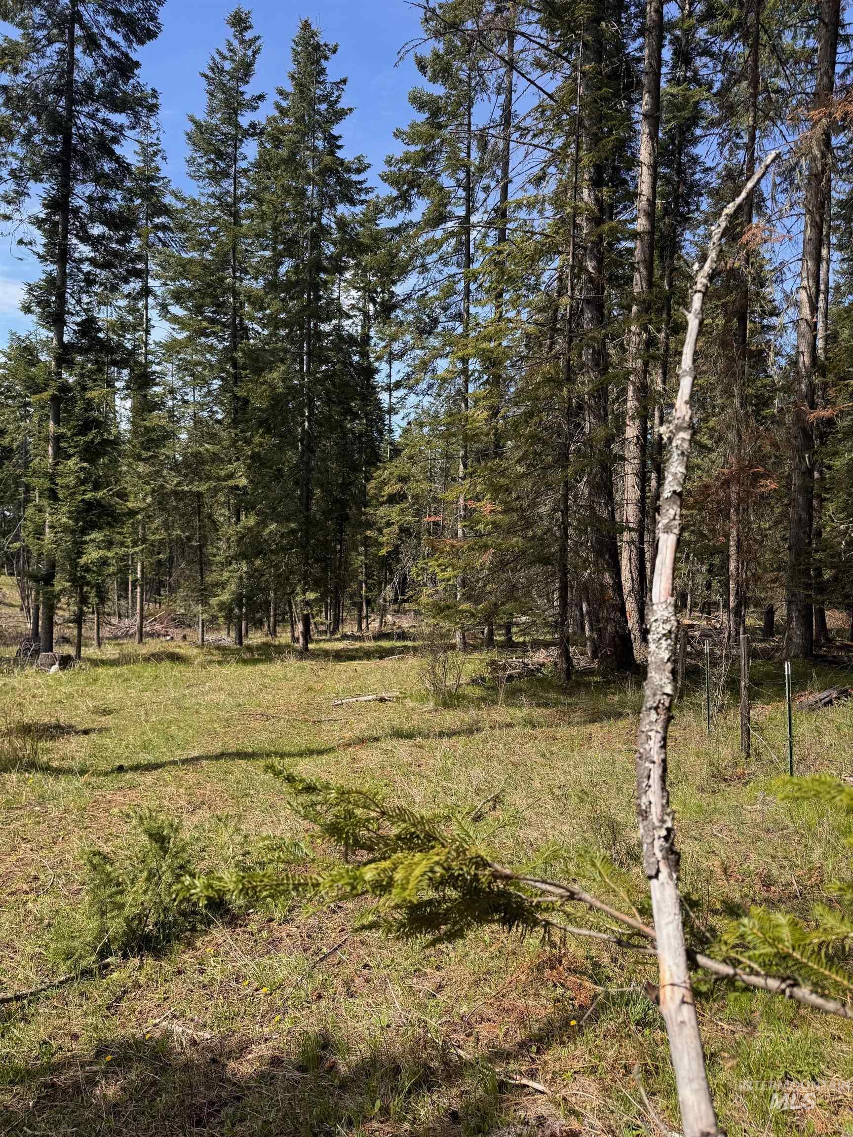 Tbd Harris Ridge Rd Property Photo 5