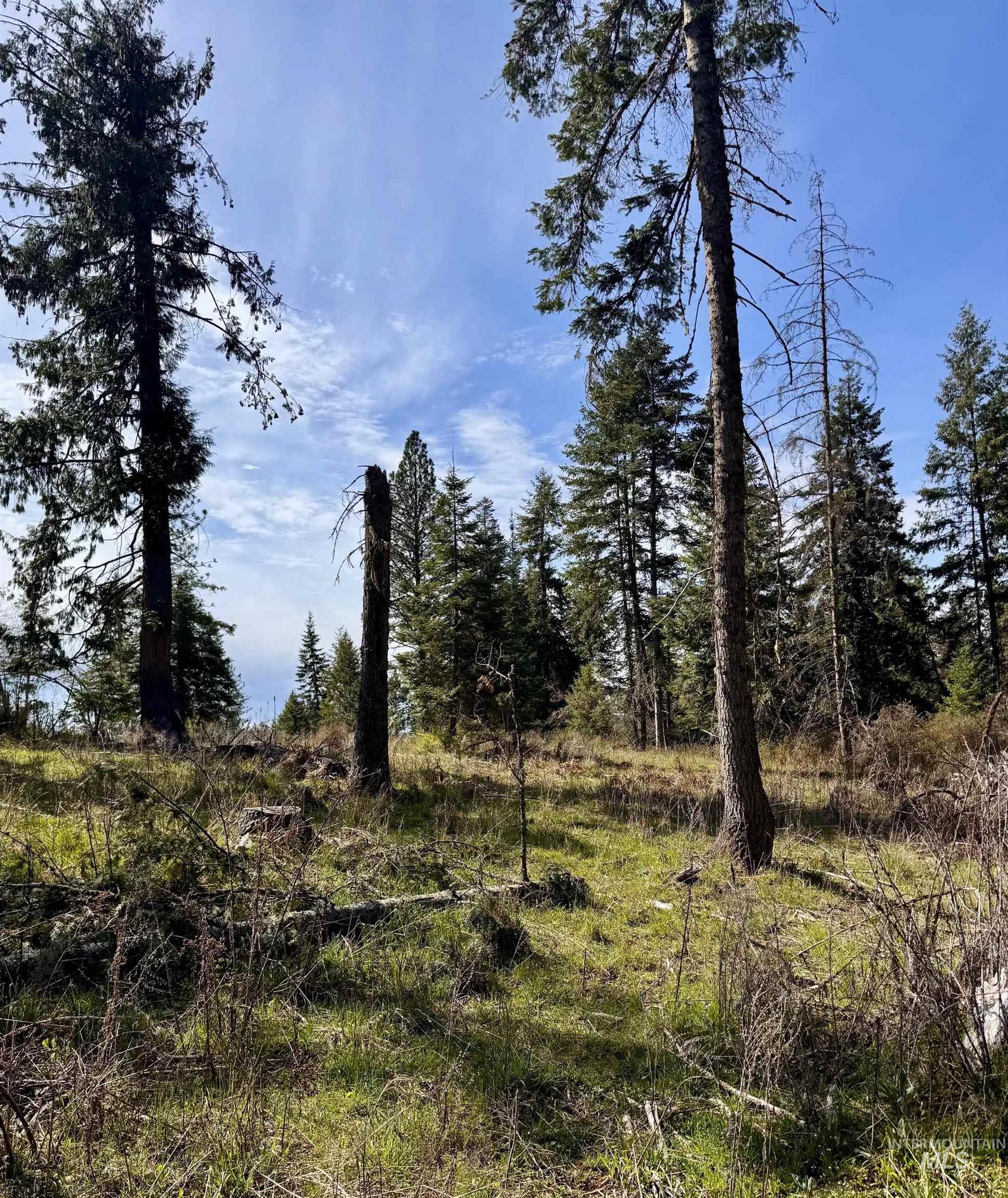 Tbd Harris Ridge Rd Property Photo 6