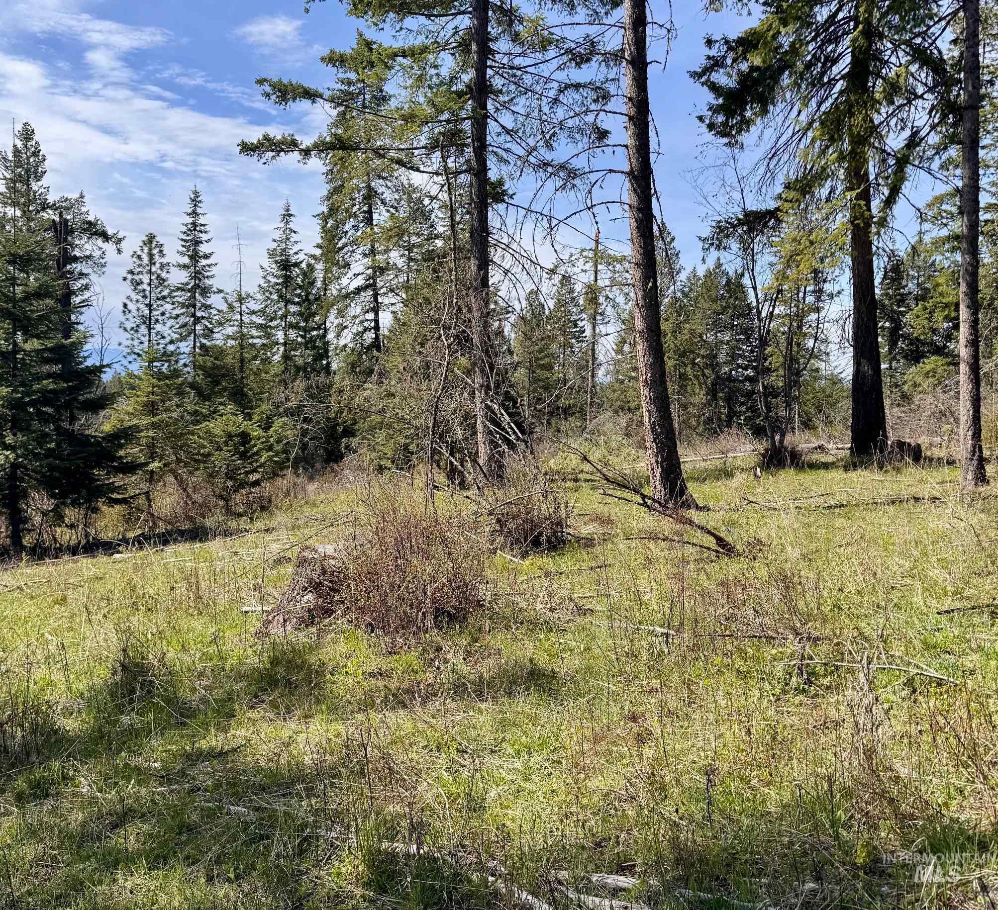 Tbd Harris Ridge Rd Property Photo 7