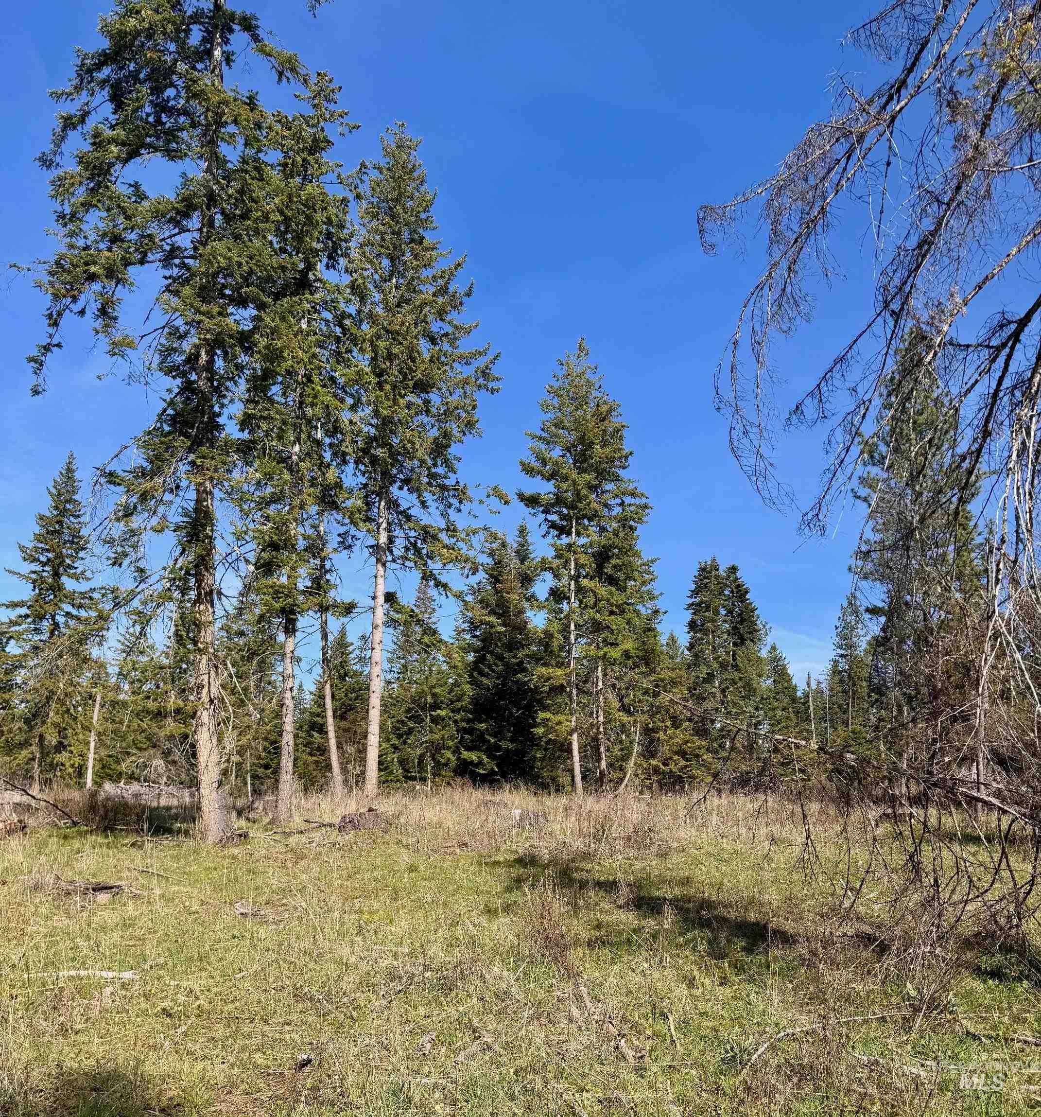 Tbd Harris Ridge Rd Property Photo 8