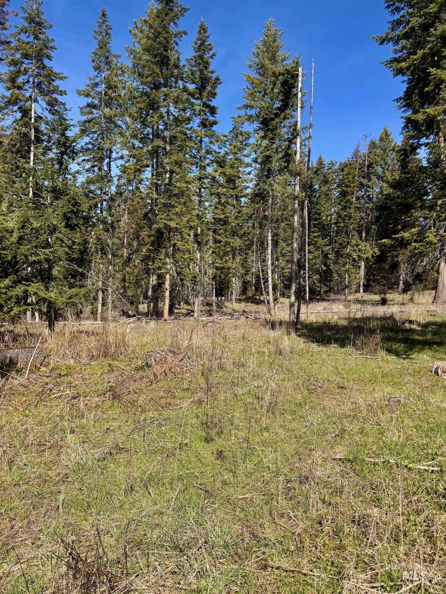 Tbd Harris Ridge Rd Property Photo 9