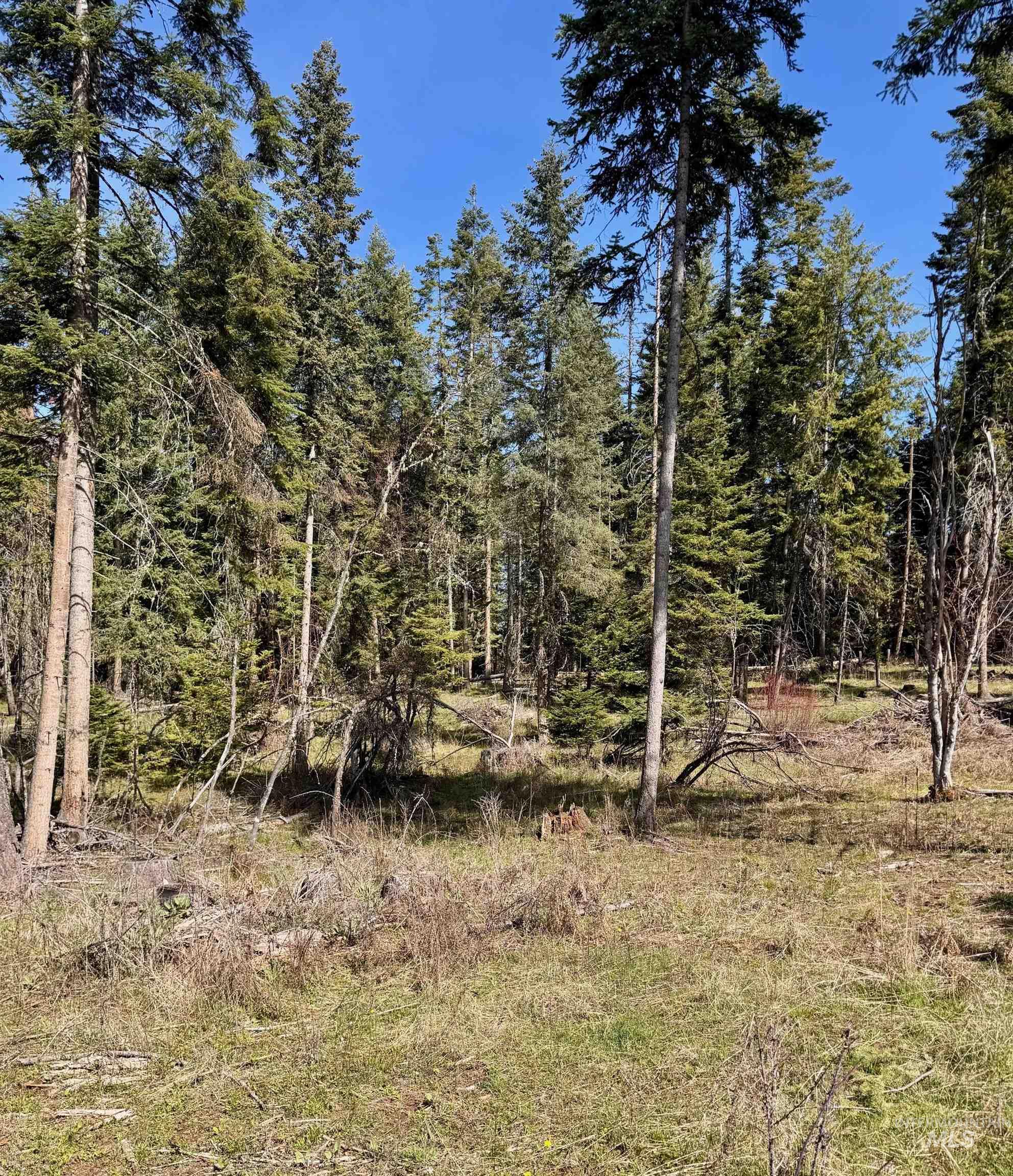 Tbd Harris Ridge Rd Property Photo 11