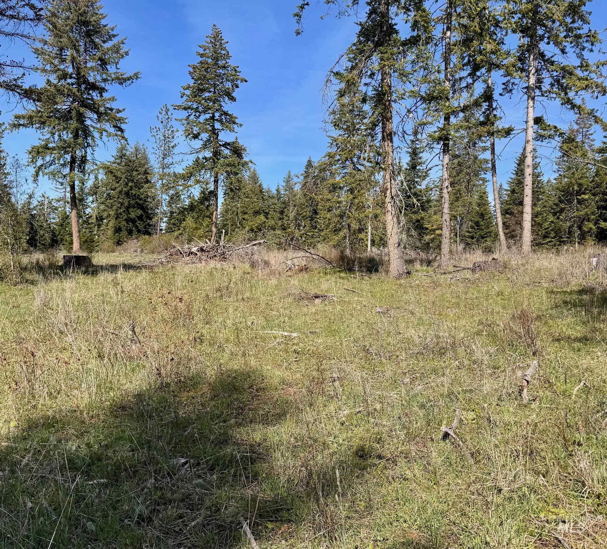 Tbd Harris Ridge Rd Property Photo 13