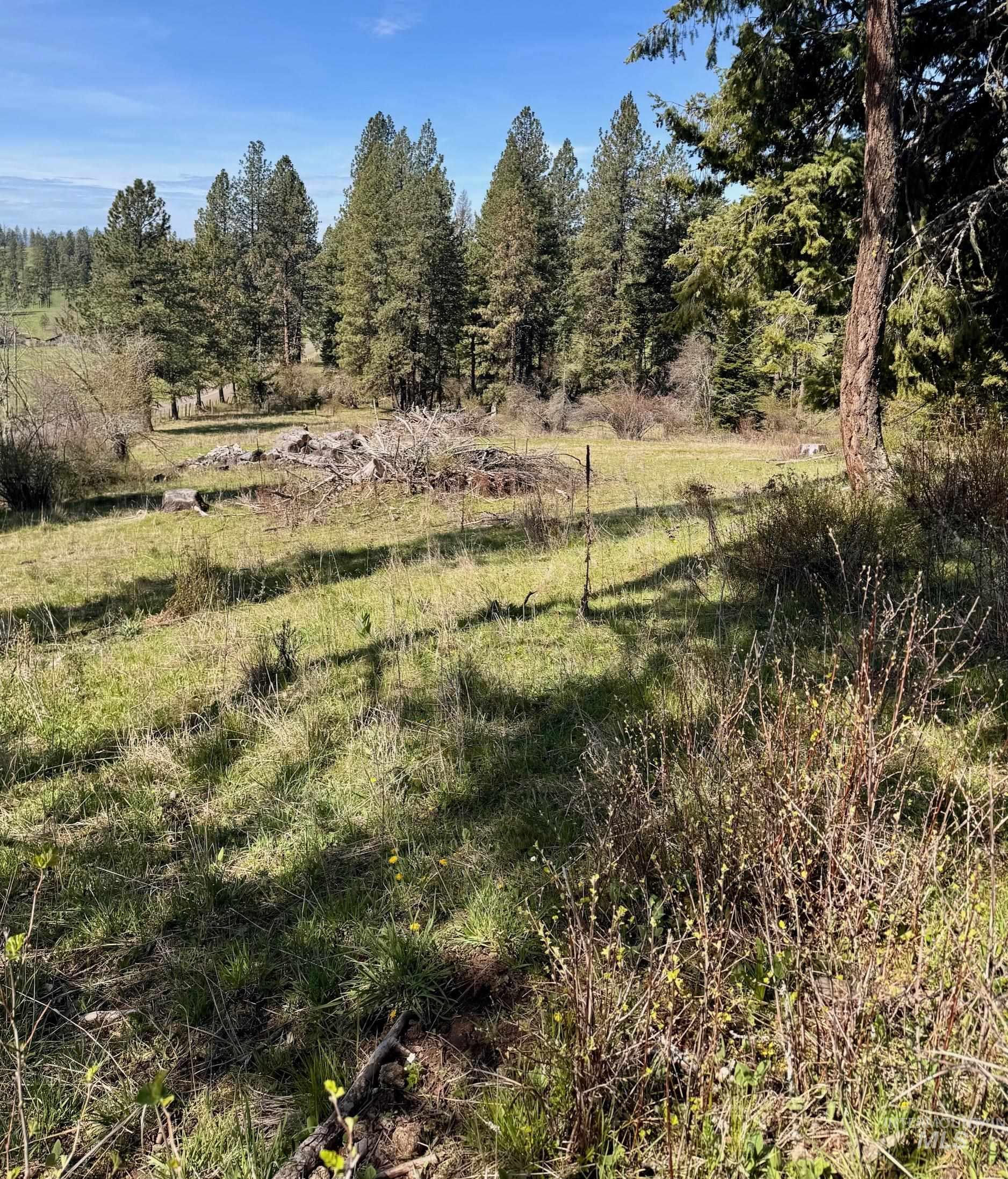 Tbd Harris Ridge Rd Property Photo 14