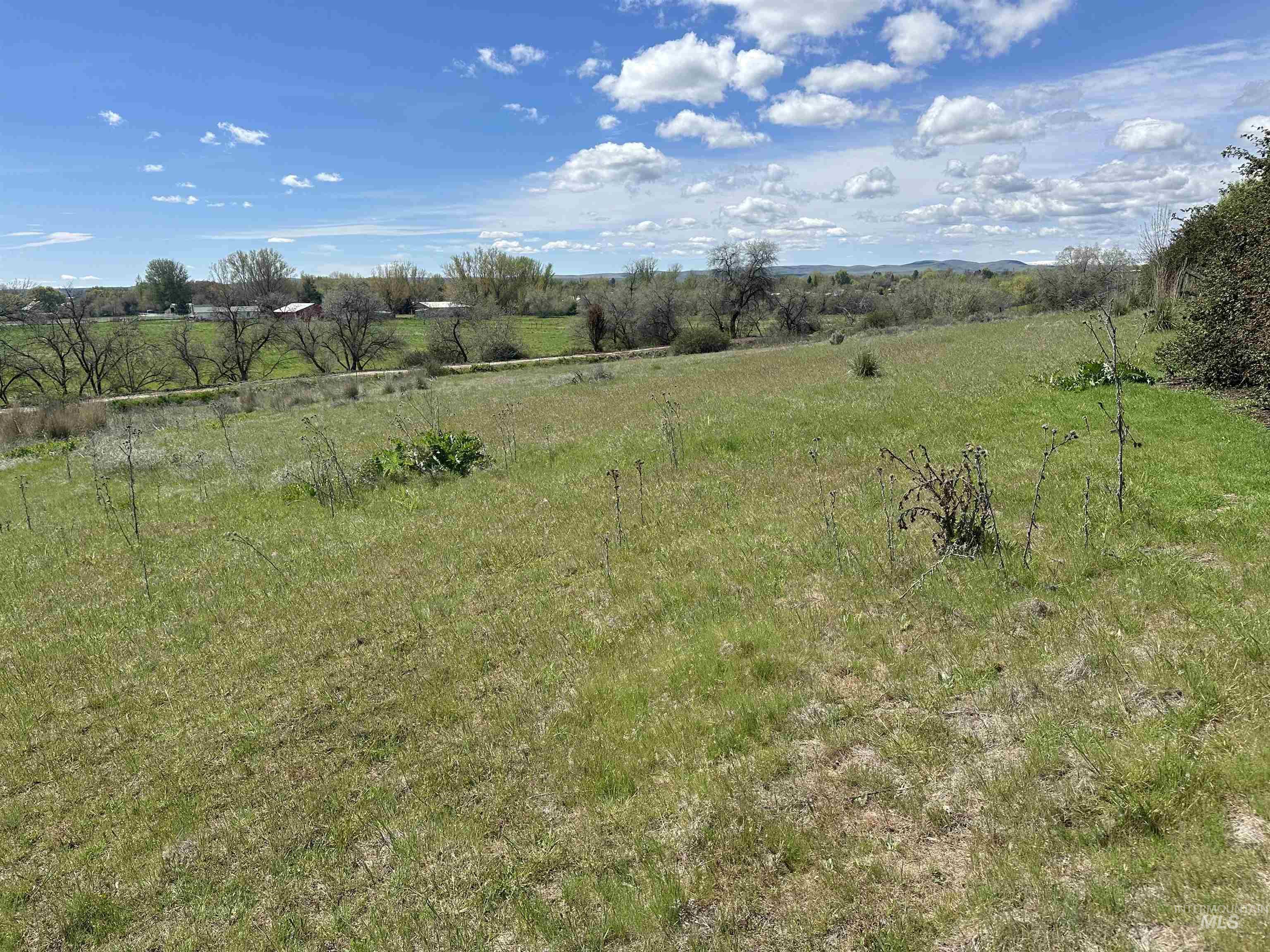 1452 Weiser River Rd Property Photo 29
