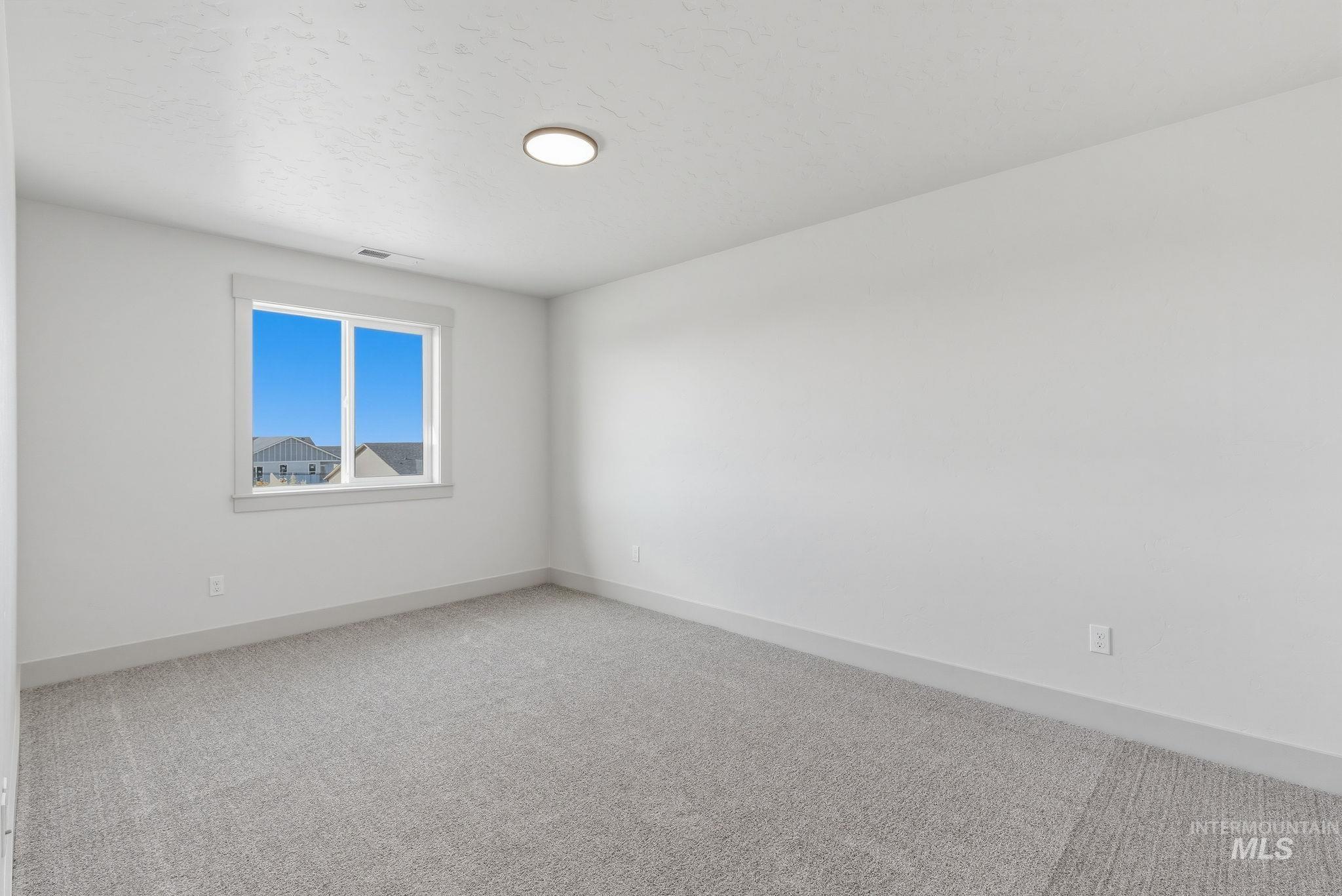 1125 Velvet Loop Property Photo 46