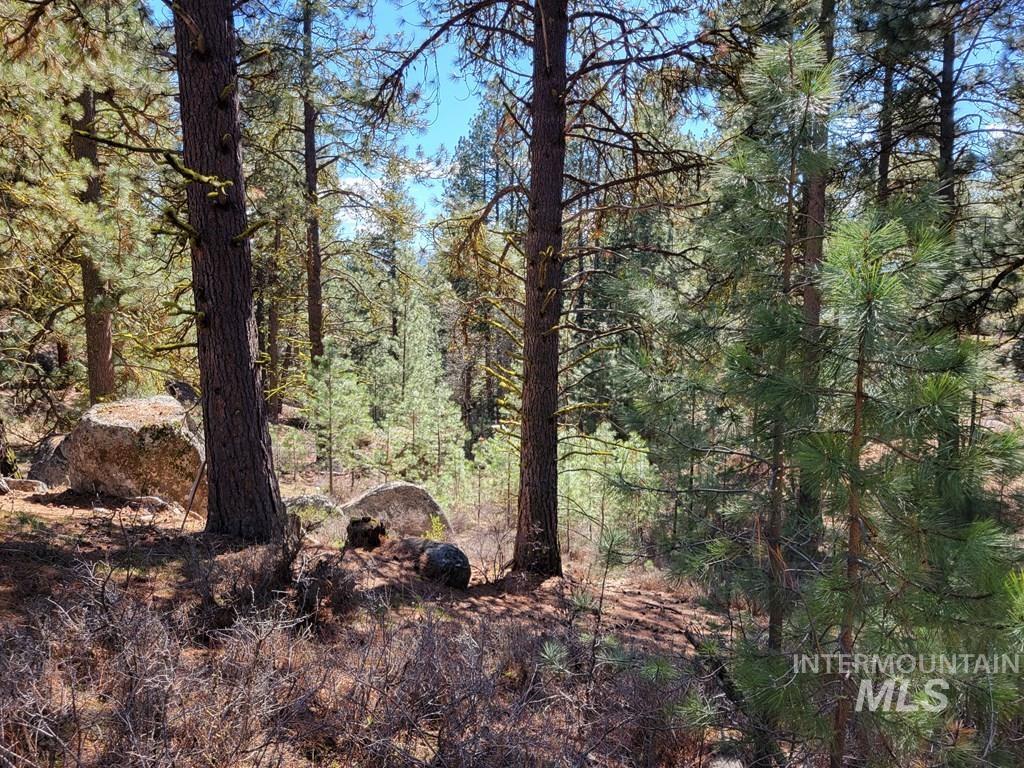 Tbd Point Lane Property Photo 10