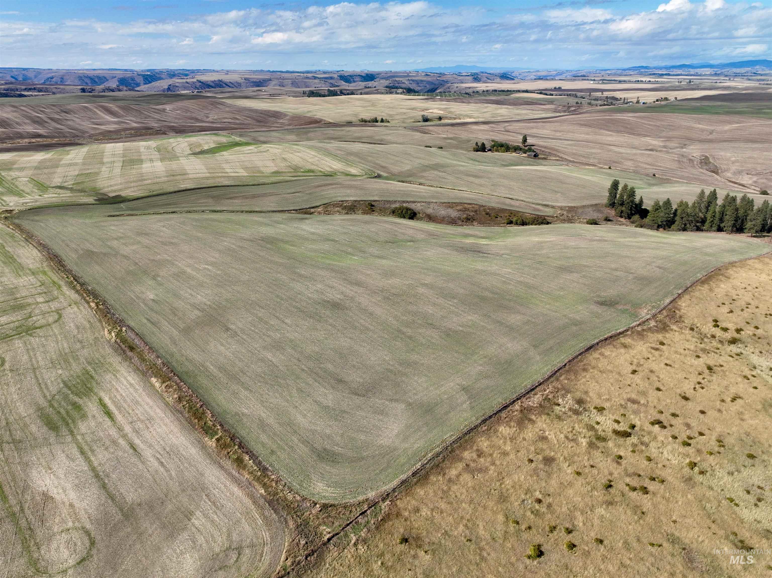 Tbd Central Ridge Rd & Younger Rd Property Photo 37