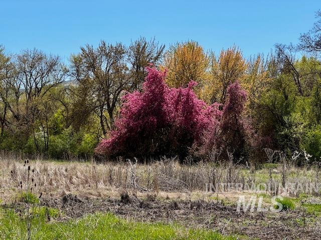3825 Jake Lane Property Photo 48