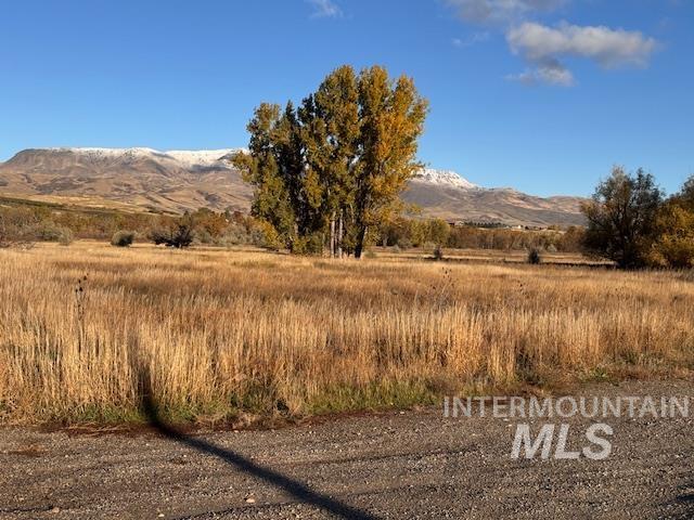 3825 Jake Lane Property Photo 49