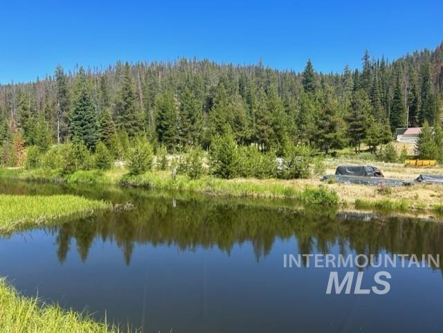 107 Edmonson Drive Property Photo 43