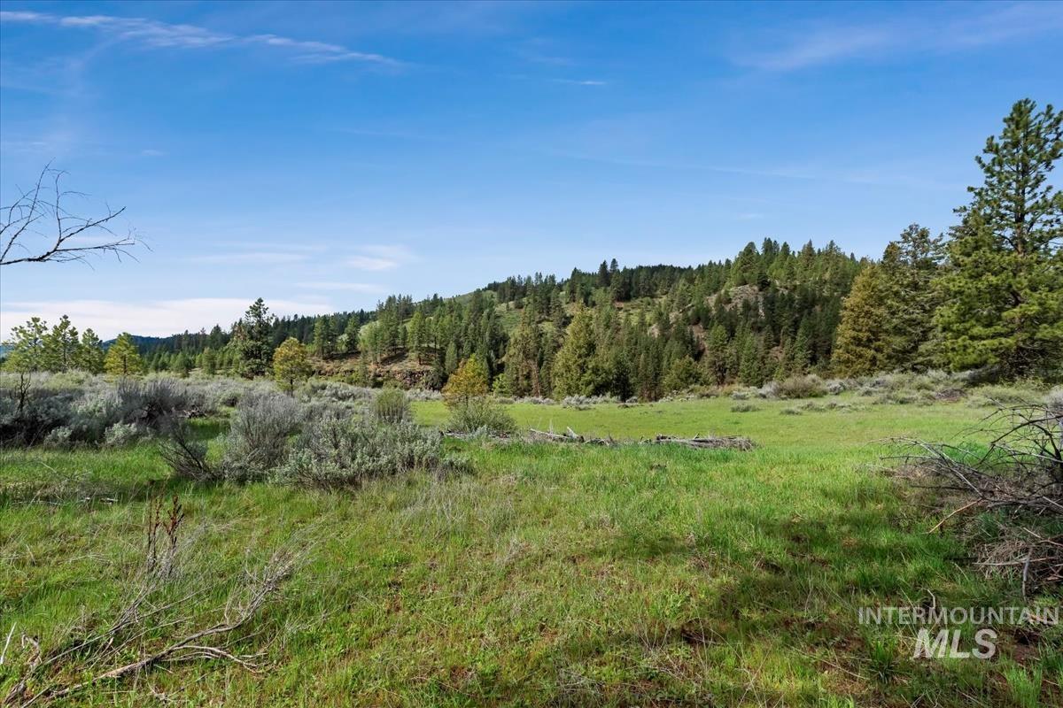 Lot 5 N Corral Flat Rd Property Photo 5