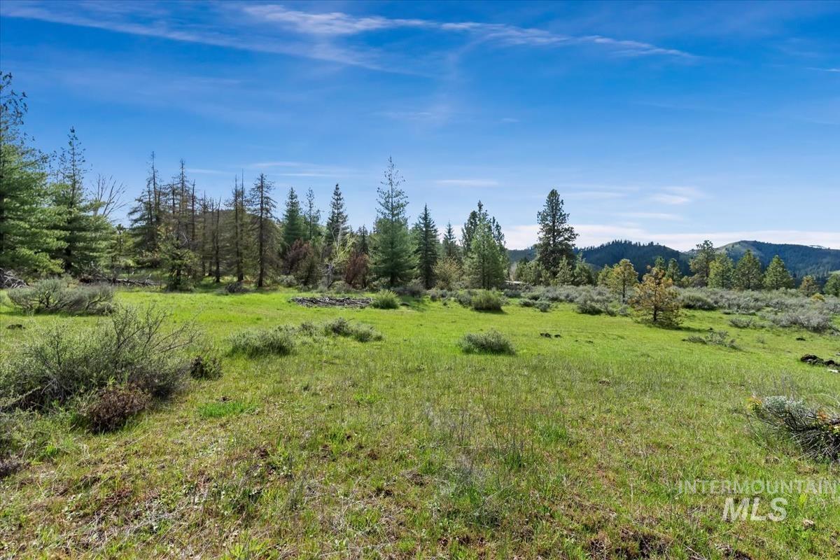 Lot 5 N Corral Flat Rd Property Photo 6