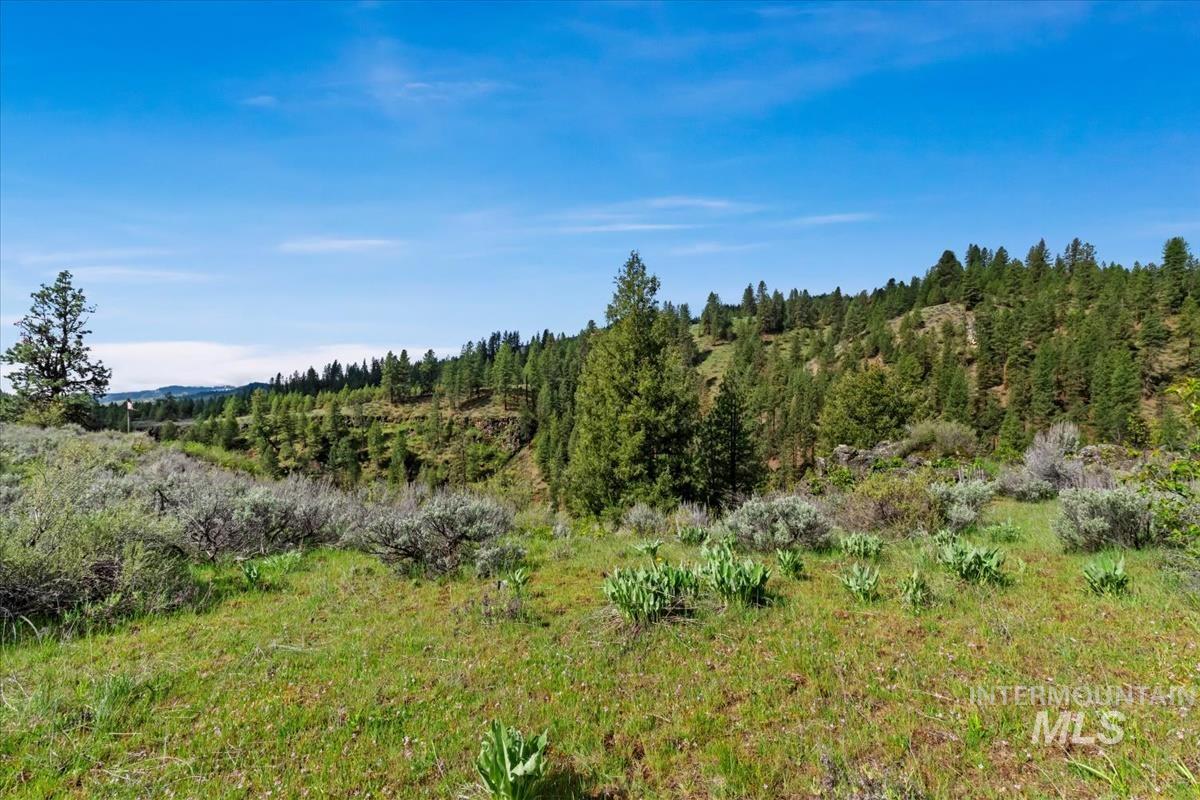 Lot 5 N Corral Flat Rd Property Photo 8