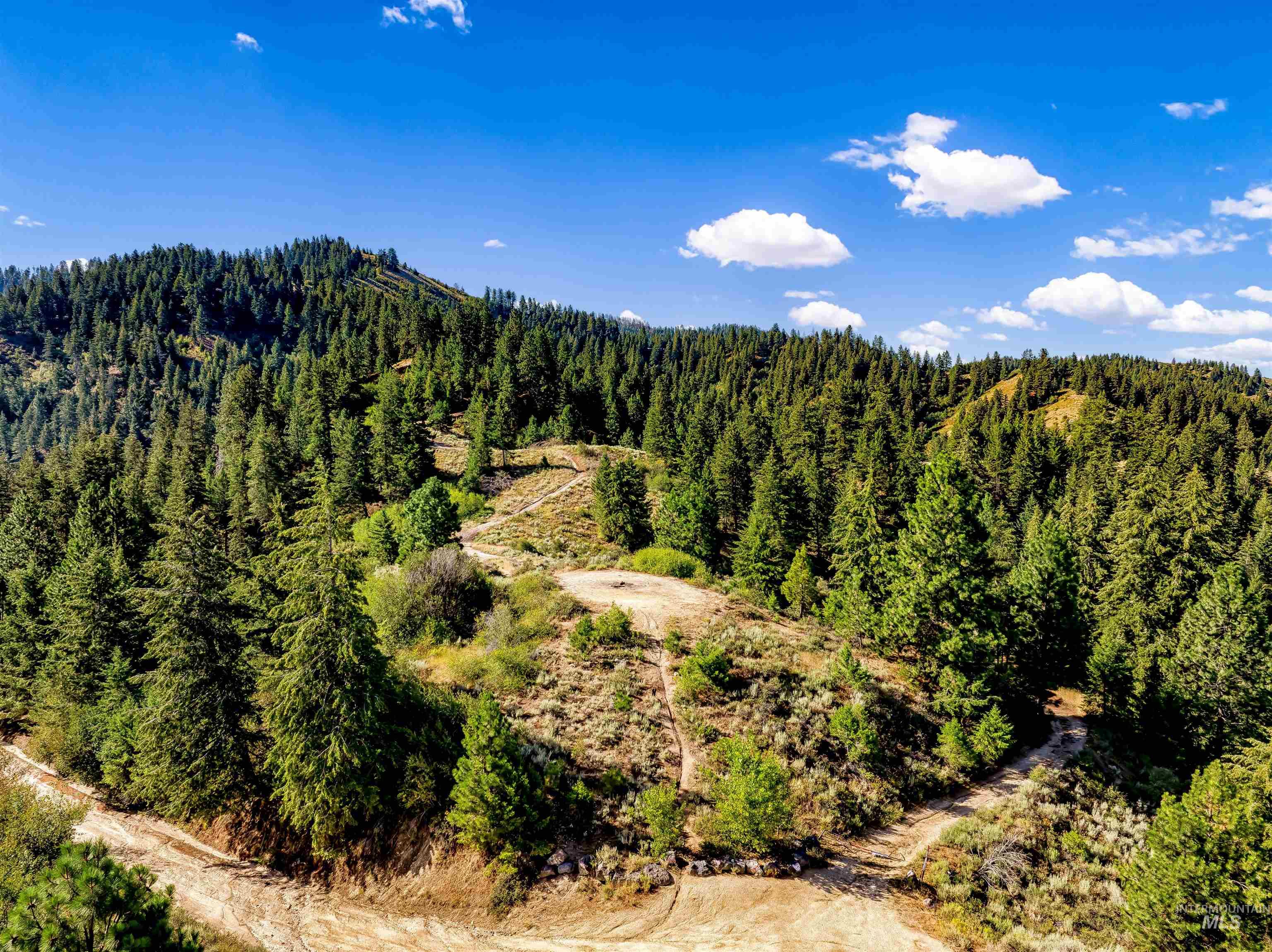 Tbd Shaw Mountain Road Property Photo 1