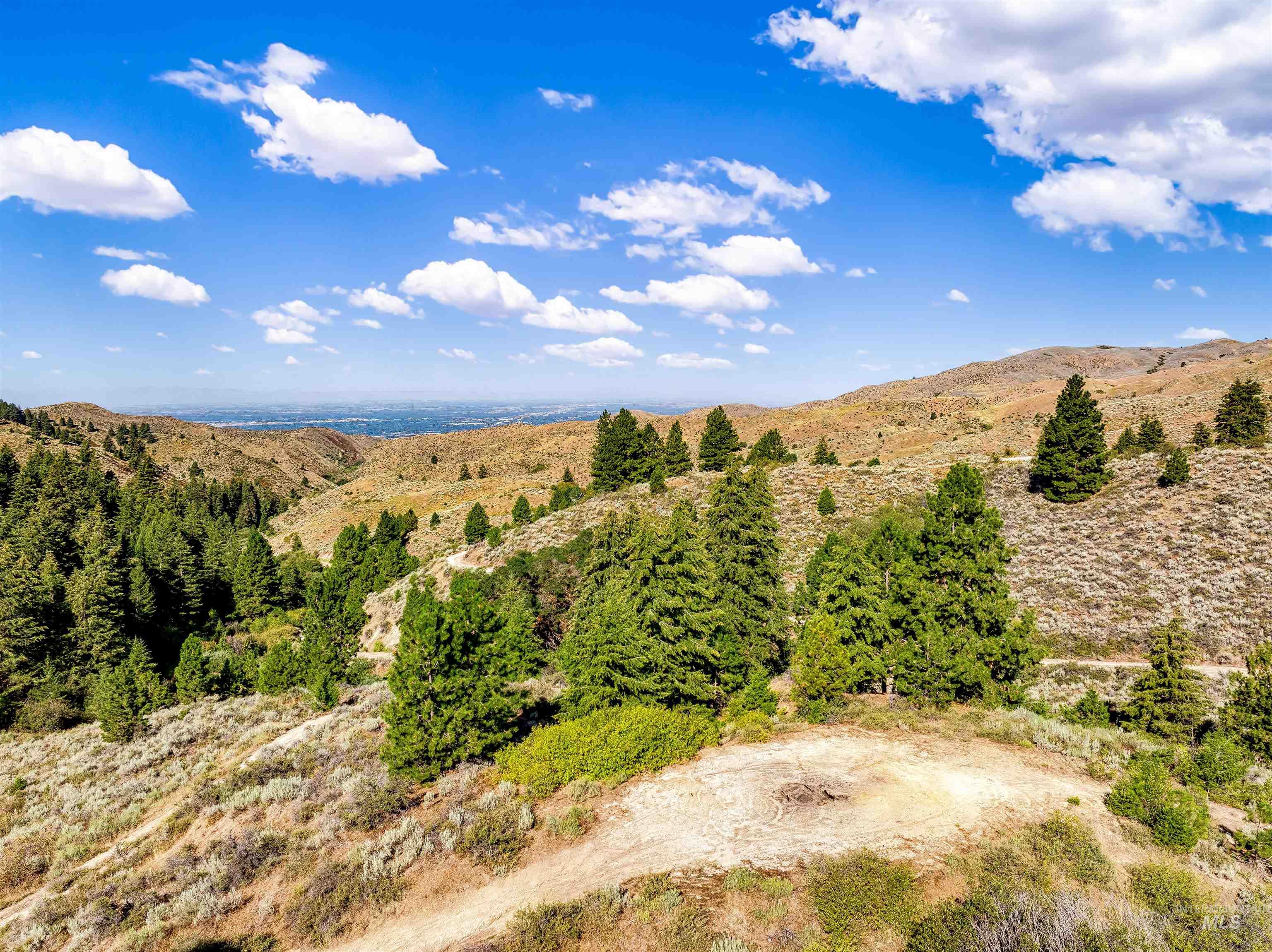 Tbd Shaw Mountain Road Property Photo 2