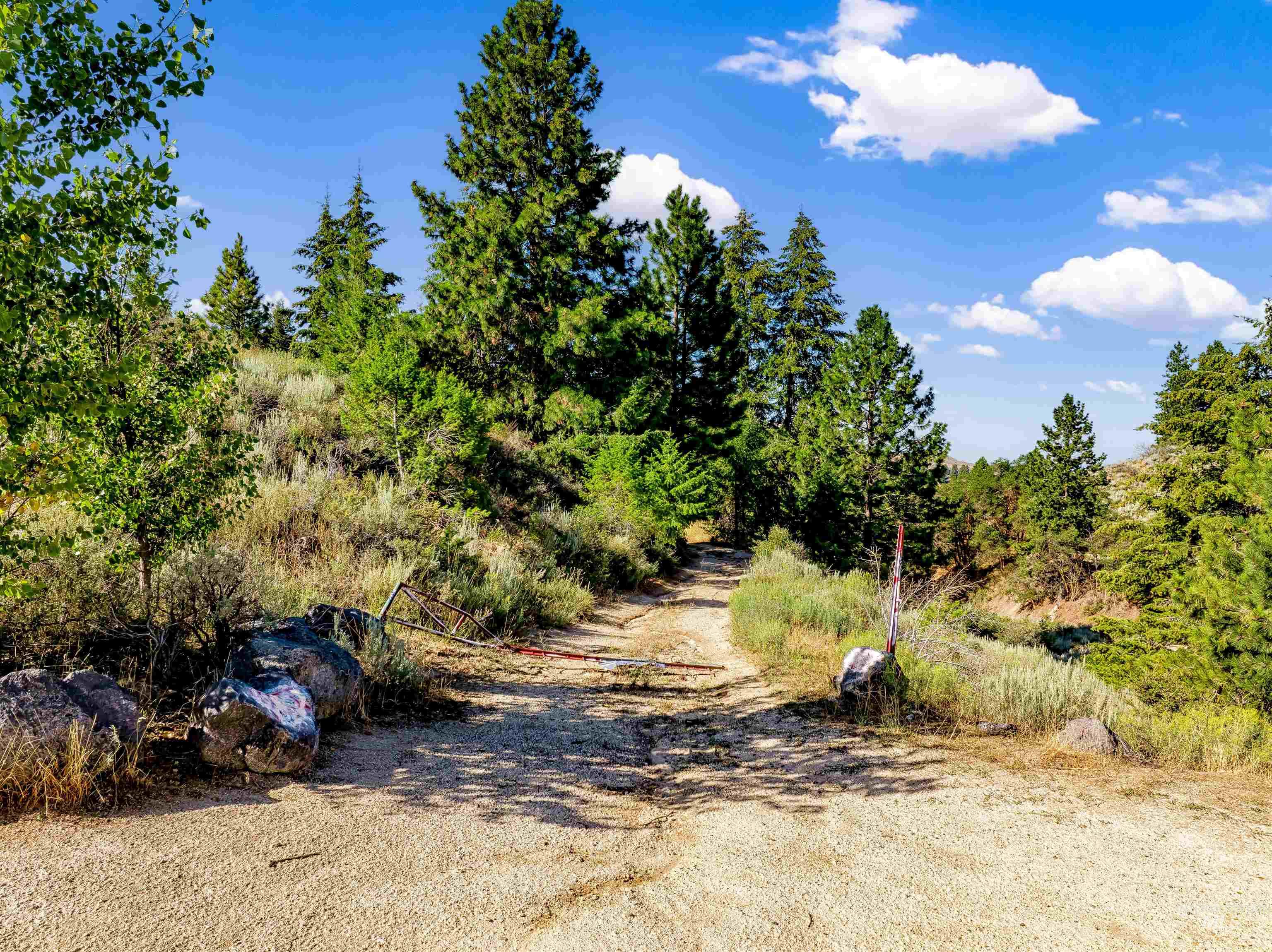 Tbd Shaw Mountain Road Property Photo 3
