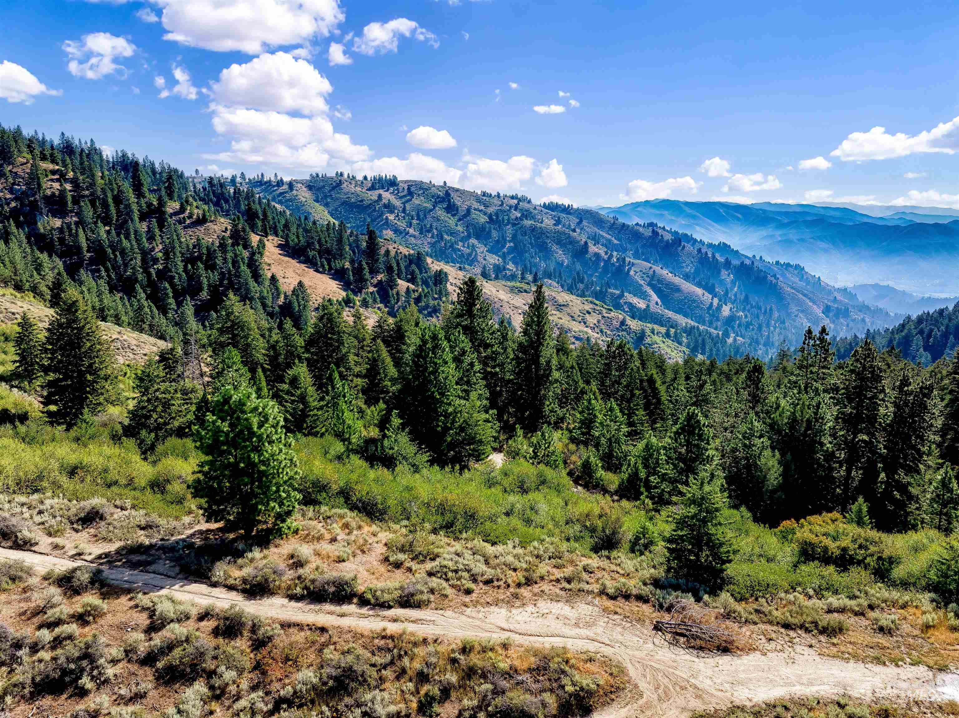 Tbd Shaw Mountain Road Property Photo 4