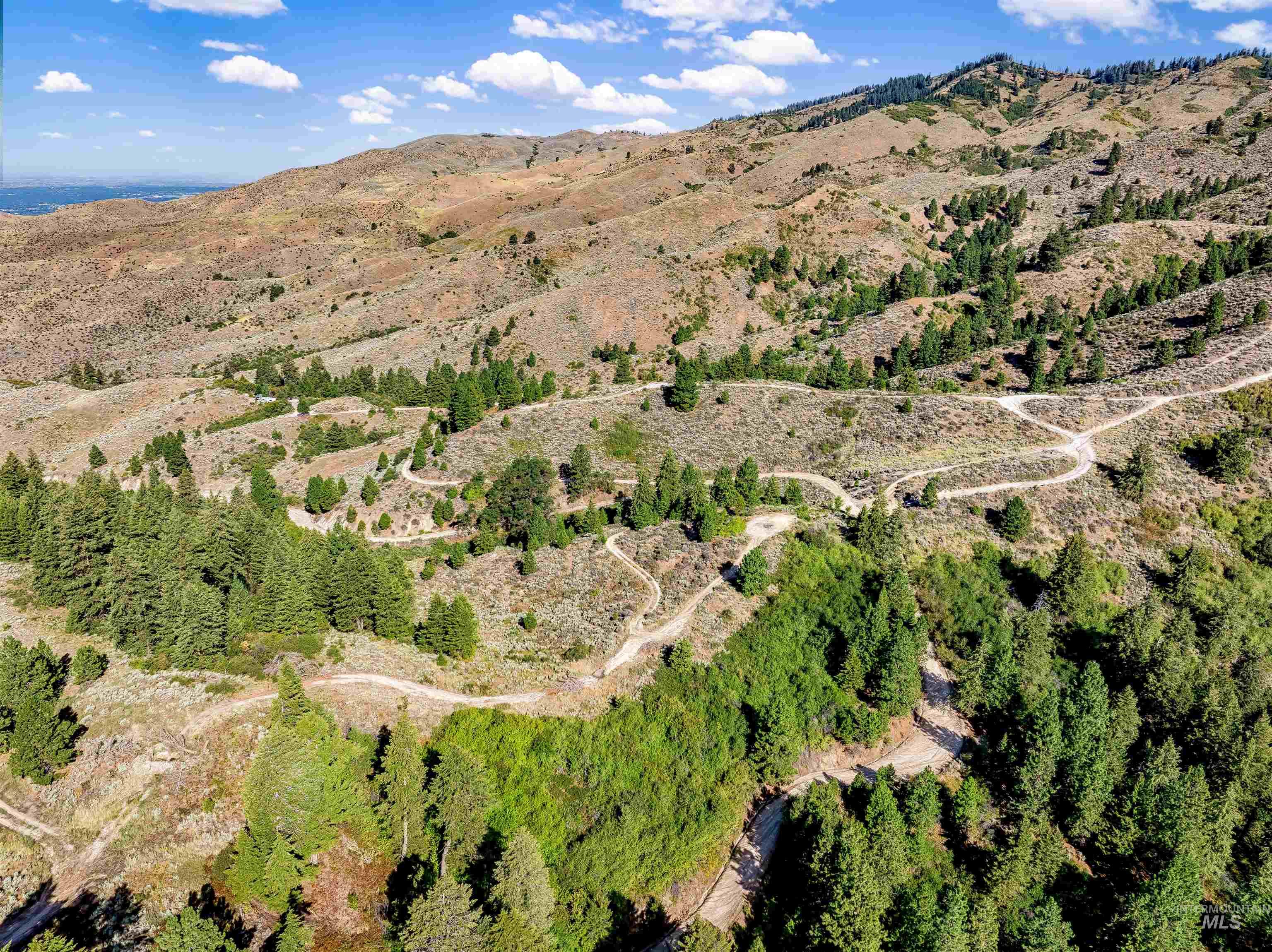 Tbd Shaw Mountain Road Property Photo 12