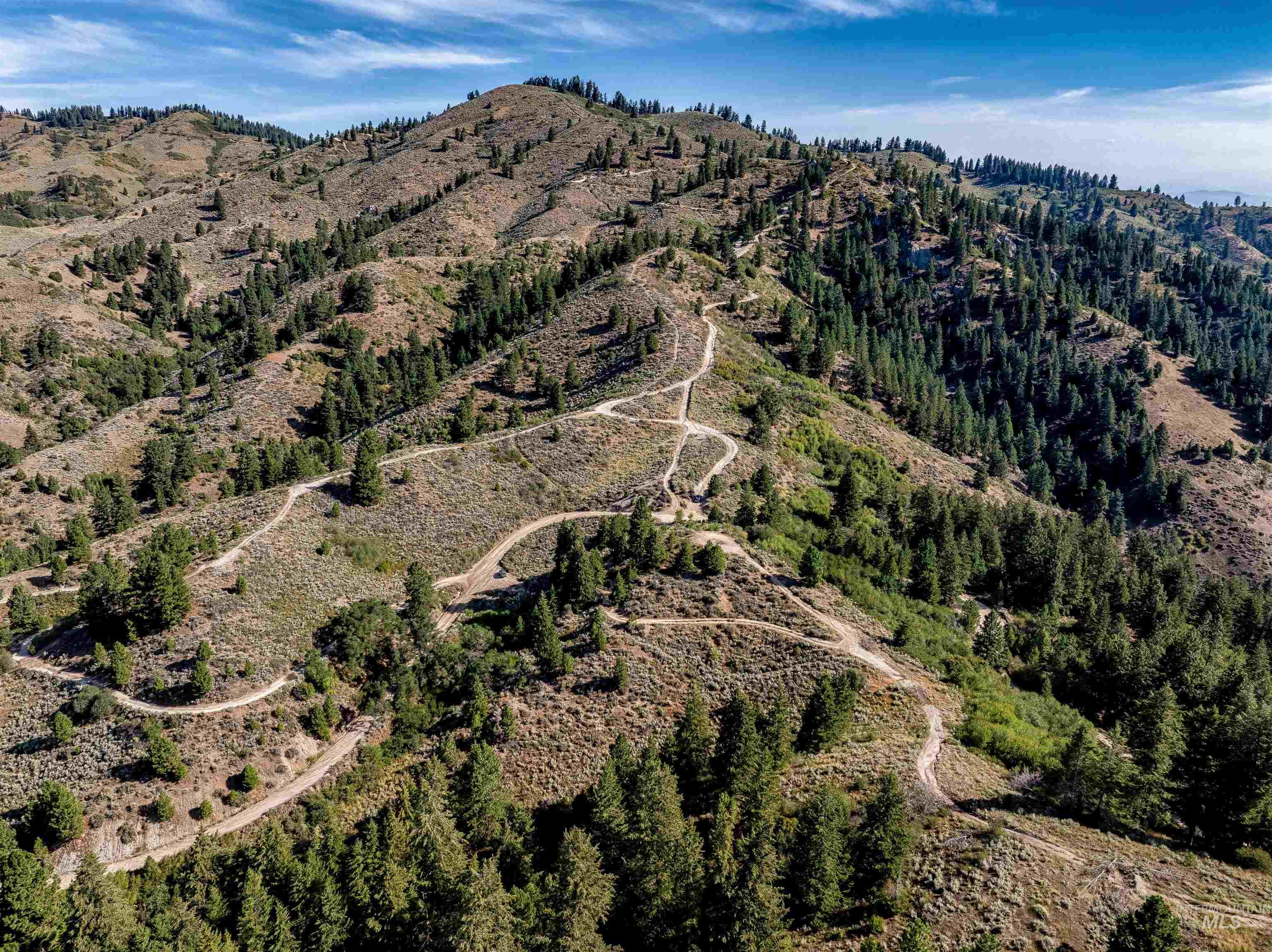 Tbd Shaw Mountain Road Property Photo 14