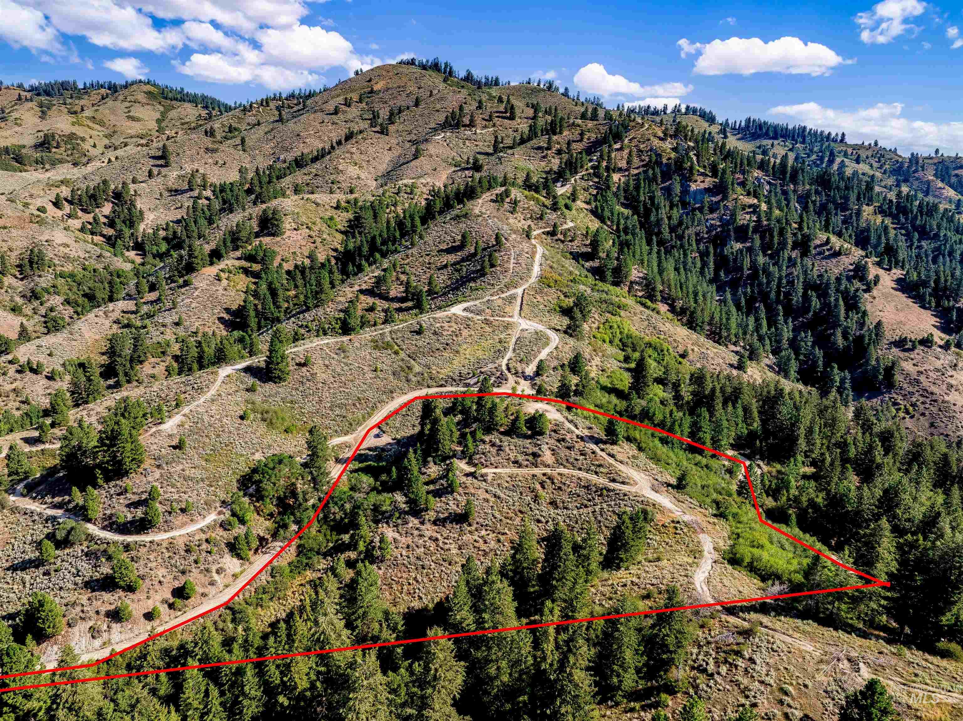 Tbd Shaw Mountain Road Property Photo 15