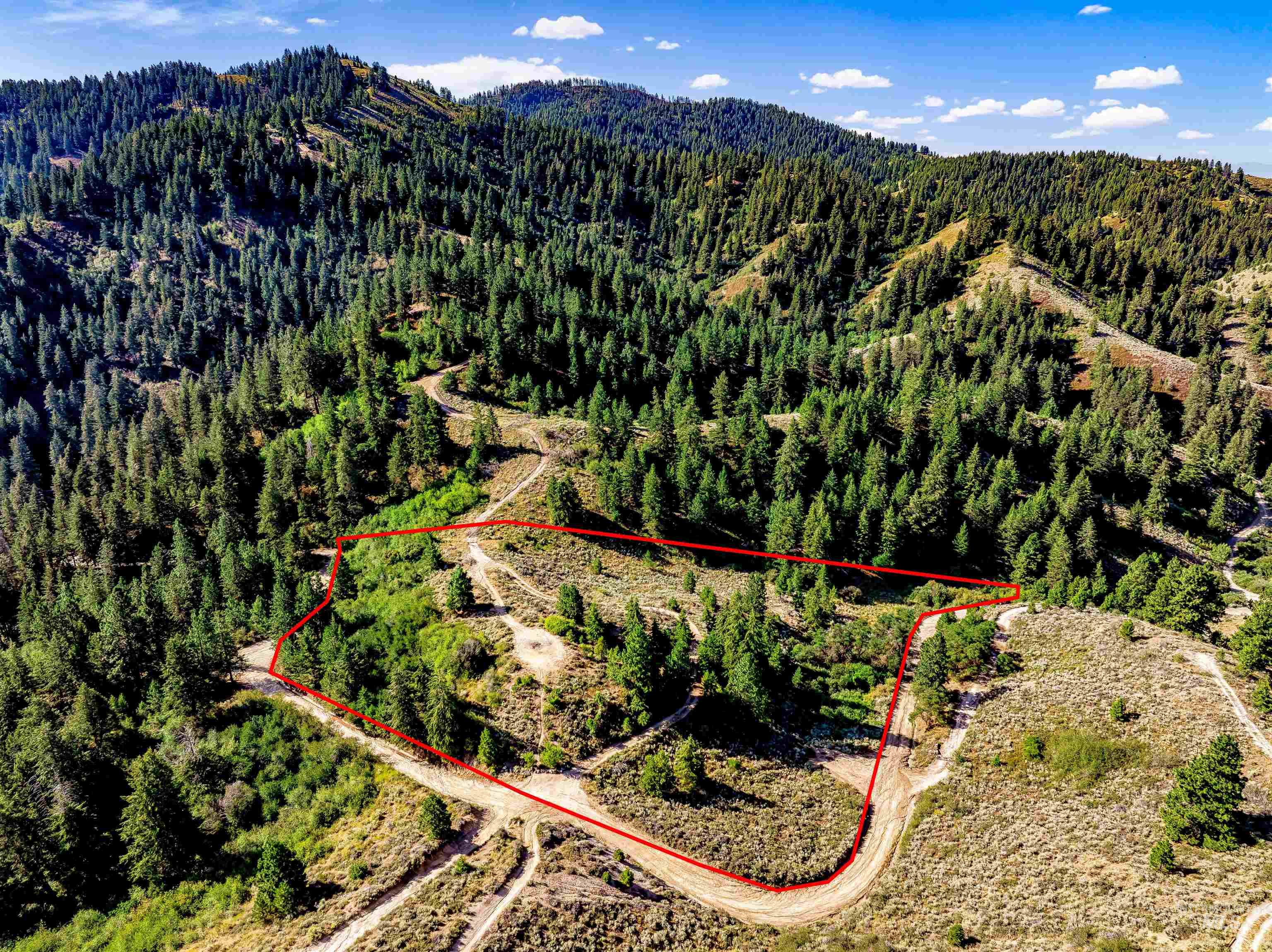 Tbd Shaw Mountain Road Property Photo 23