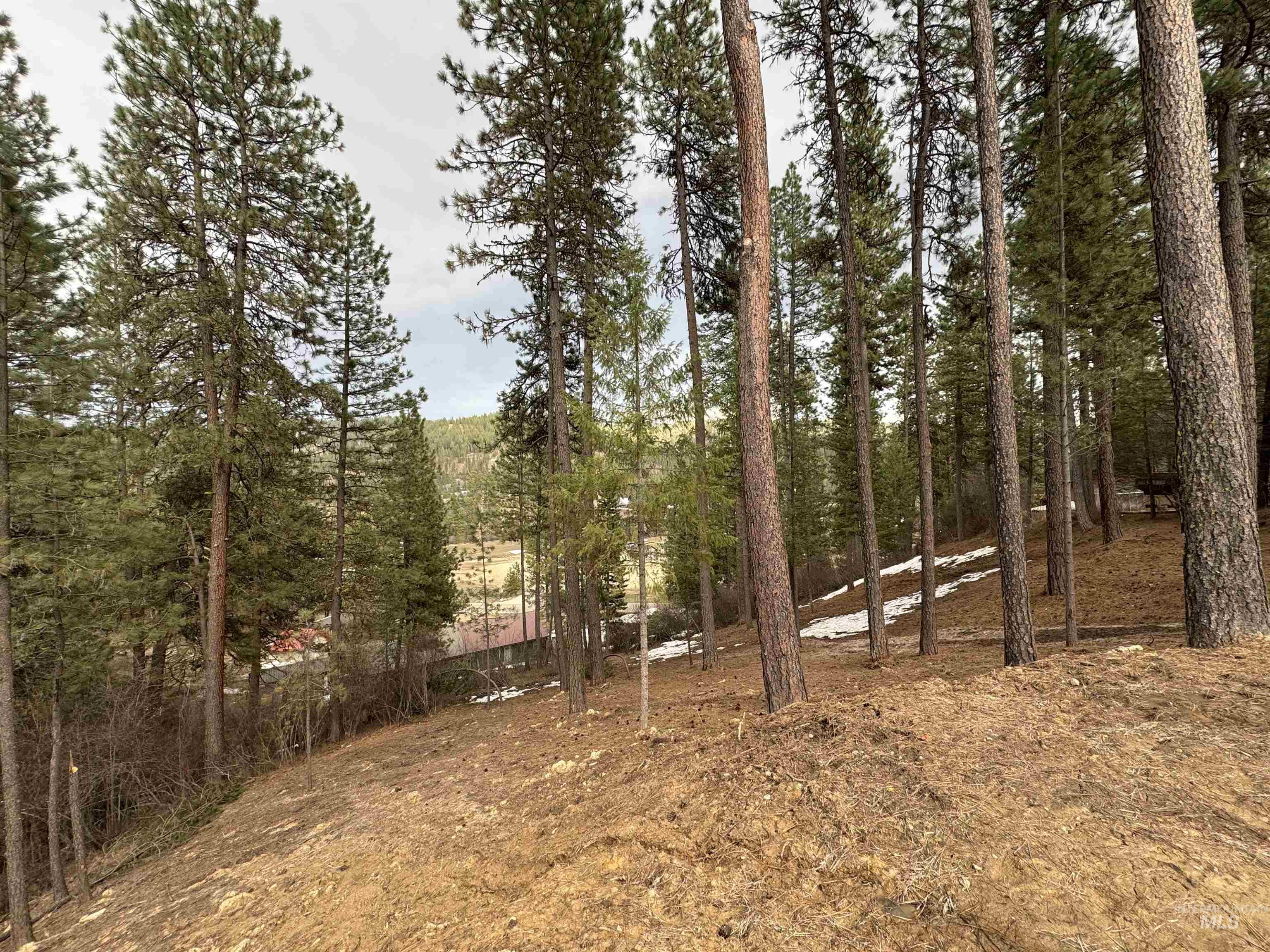 Lot 2 Valley High Road Property Photo 3