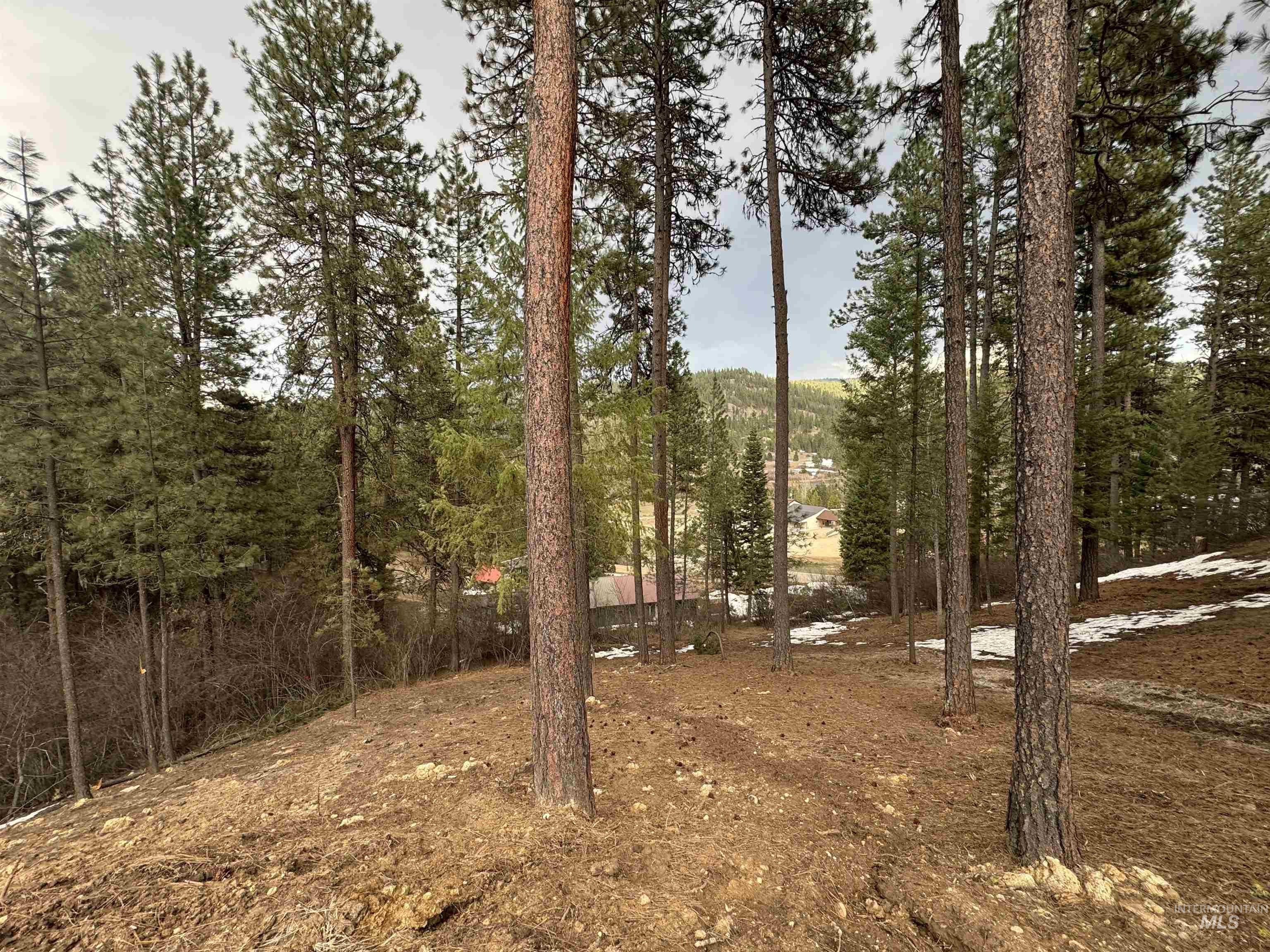 Lot 2 Valley High Road Property Photo 13
