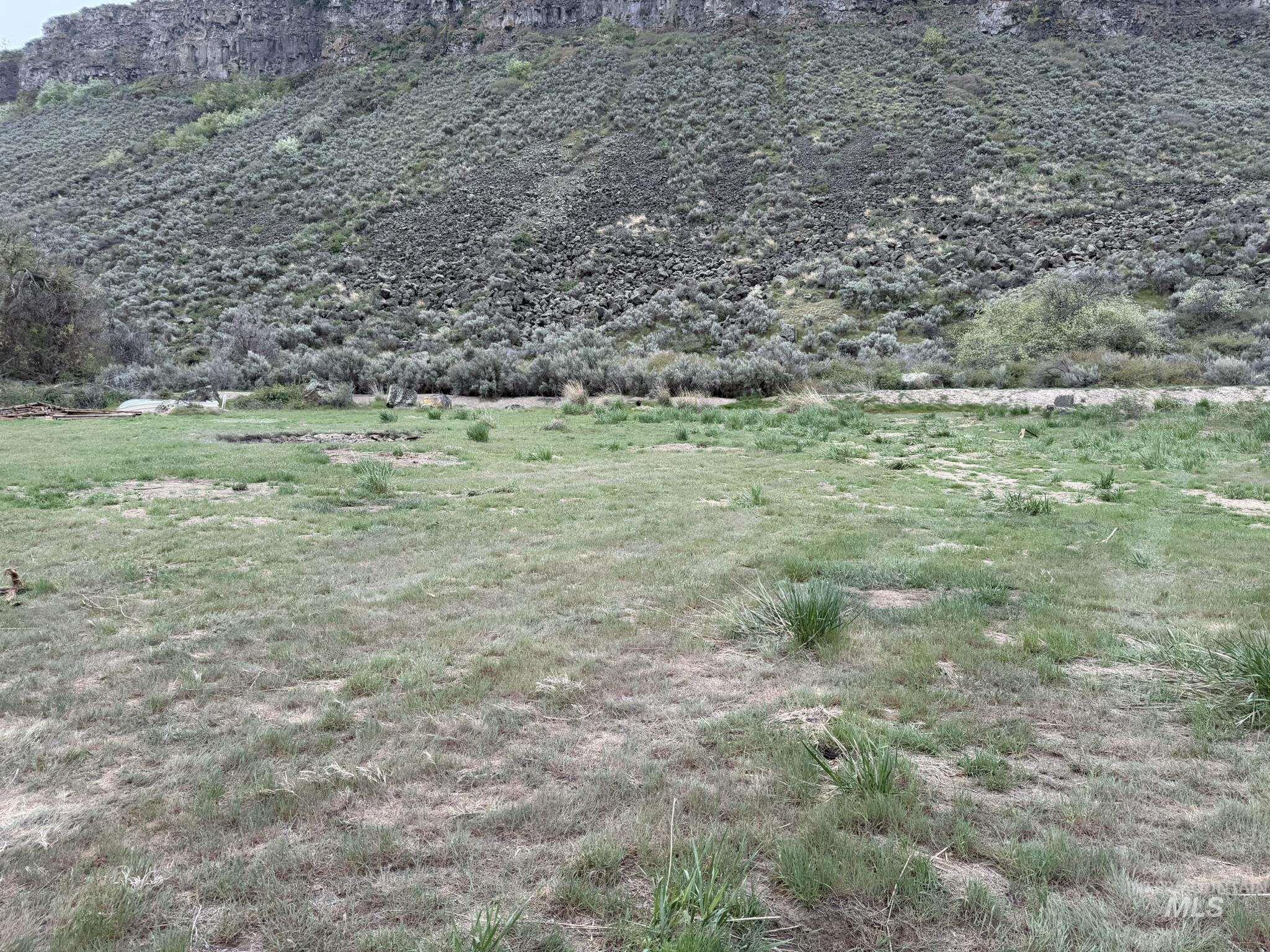 Tbd River Road Property Photo 4
