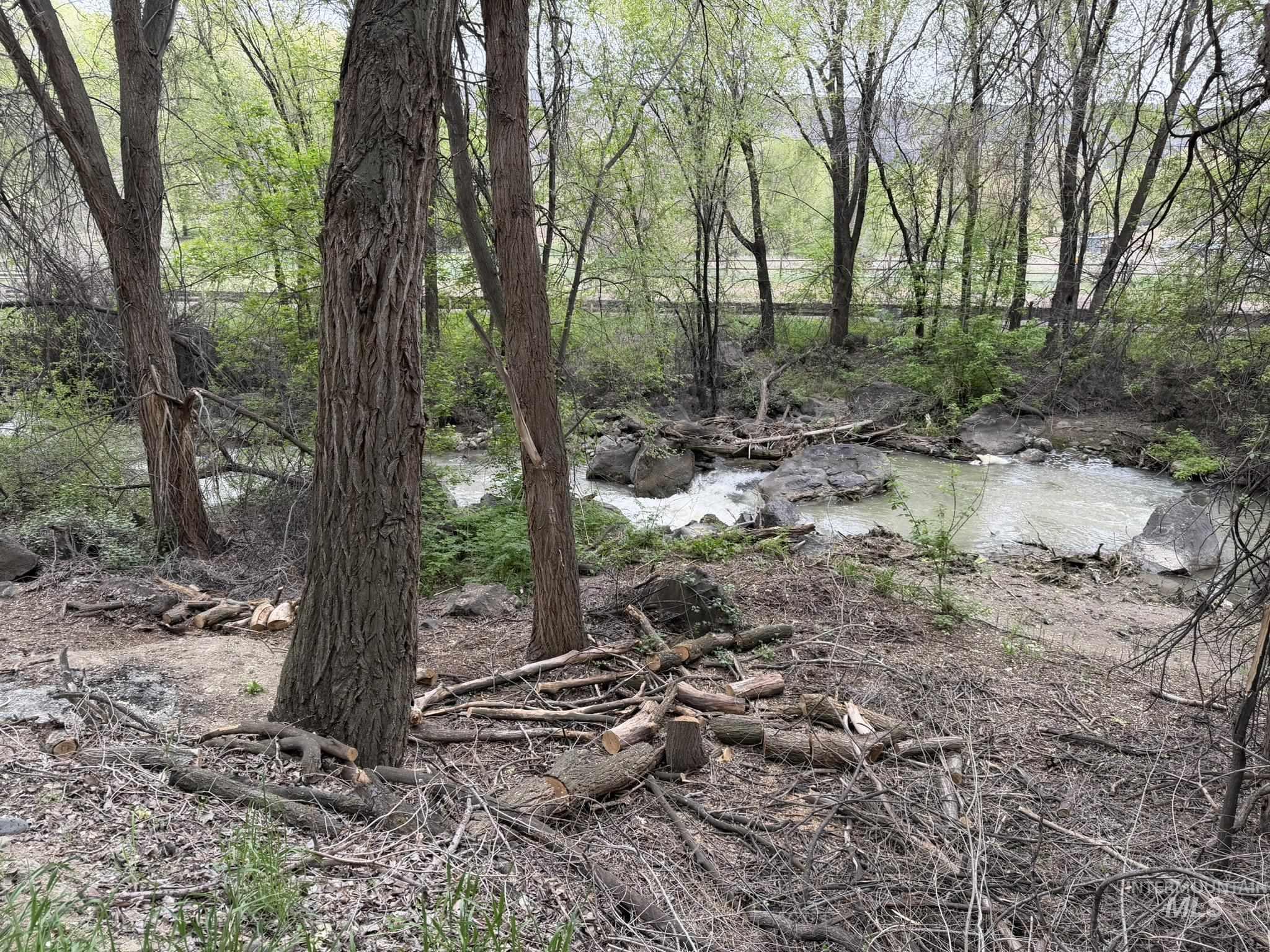 Tbd River Road Property Photo 5