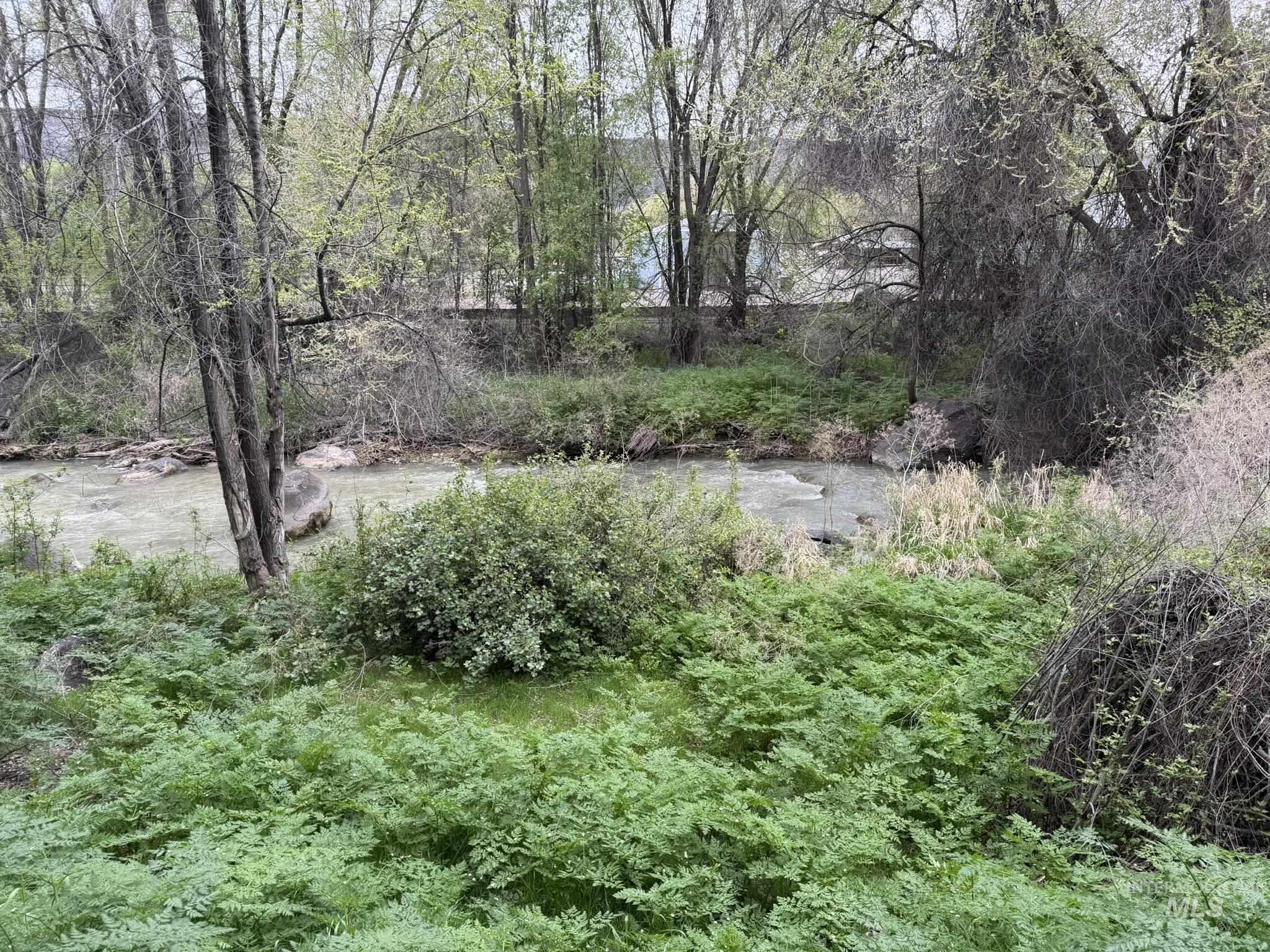 Tbd River Road Property Photo 6