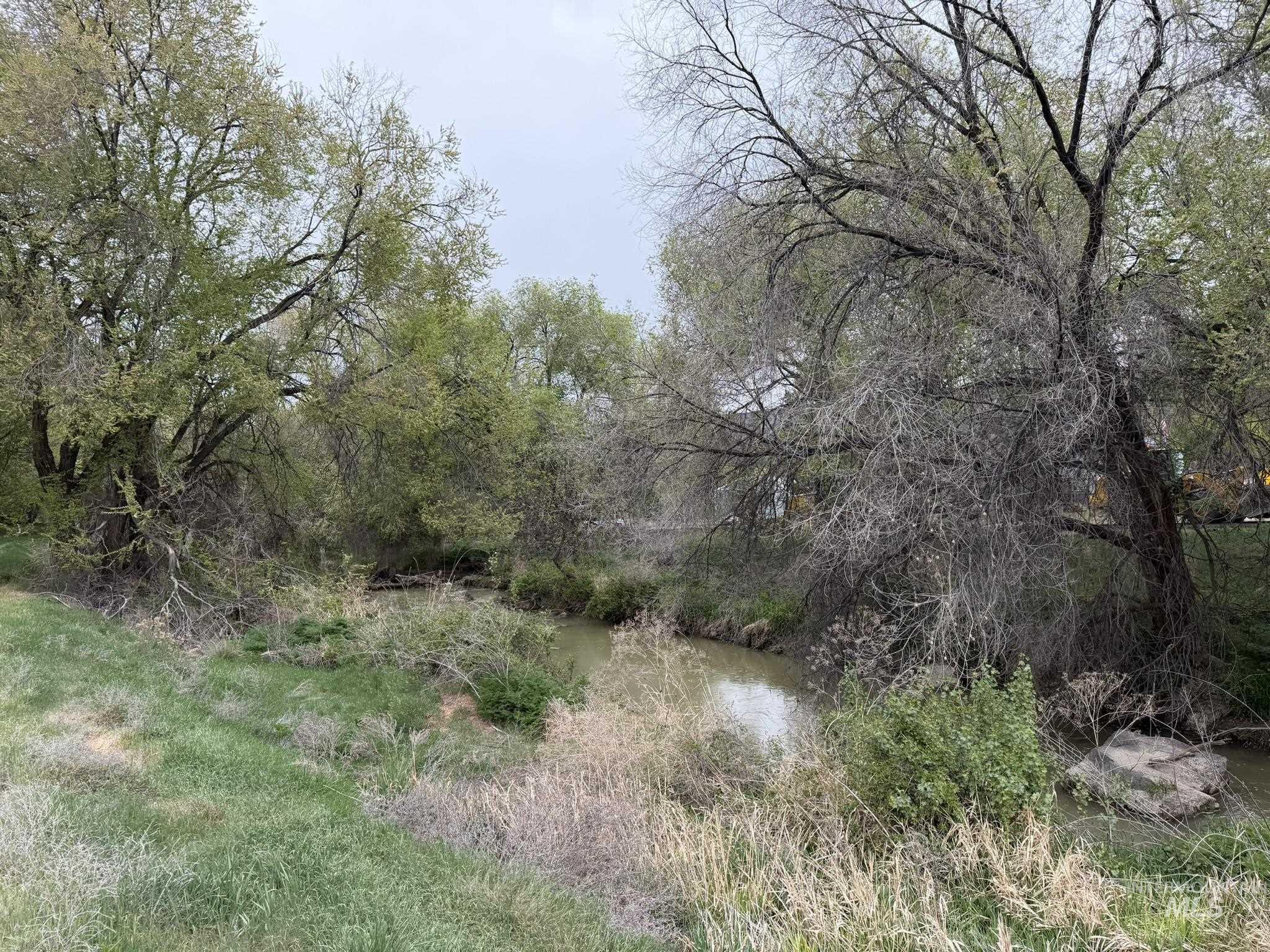 Tbd River Road Property Photo 9