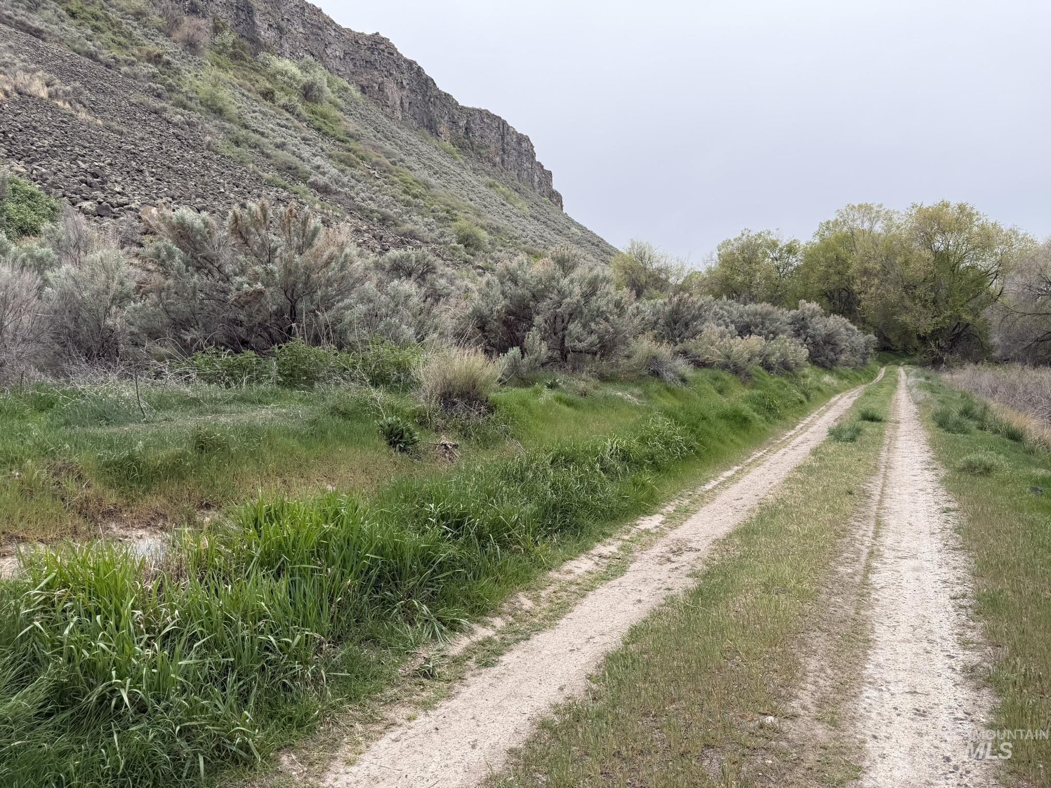 Tbd River Road Property Photo 10
