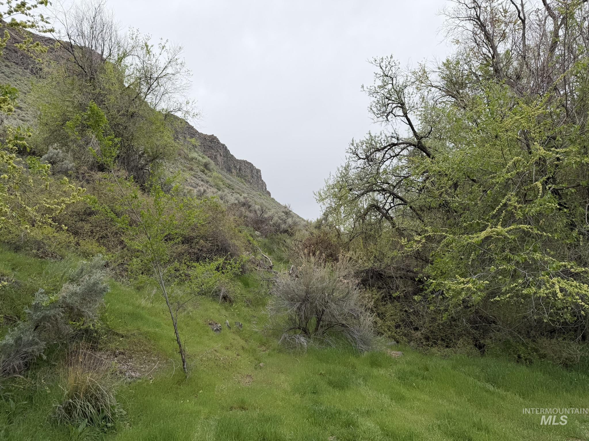 Tbd River Road Property Photo 12