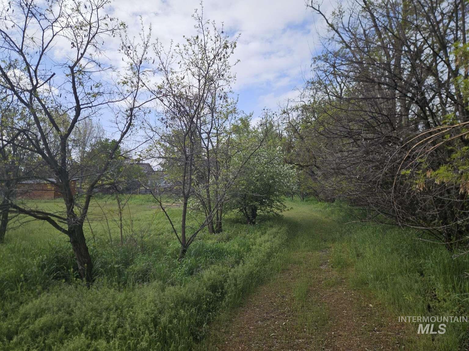 11423 W Arch St Property Photo 8