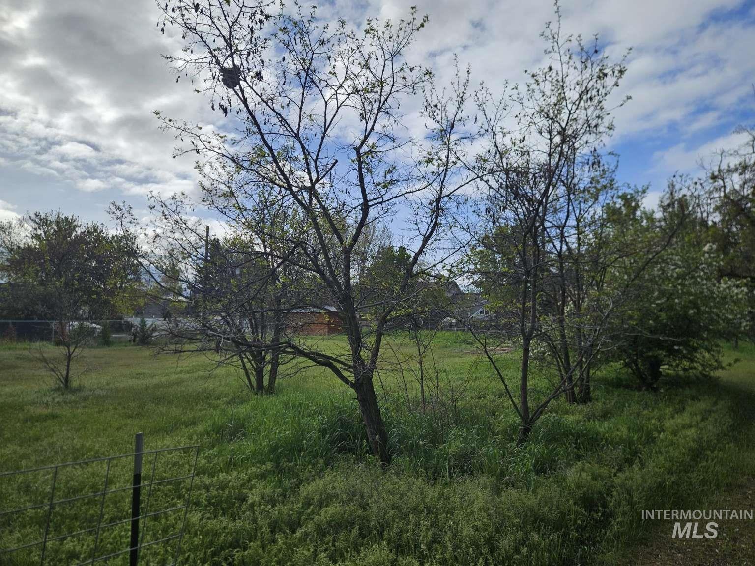 11423 W Arch St Property Photo 9