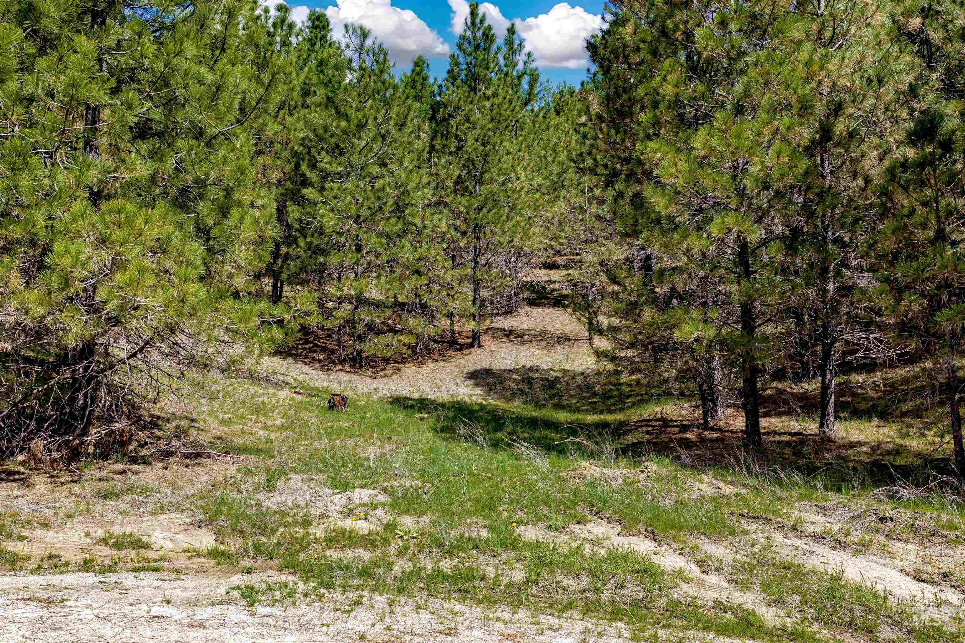 Tbd Trails End Way Property Photo 1