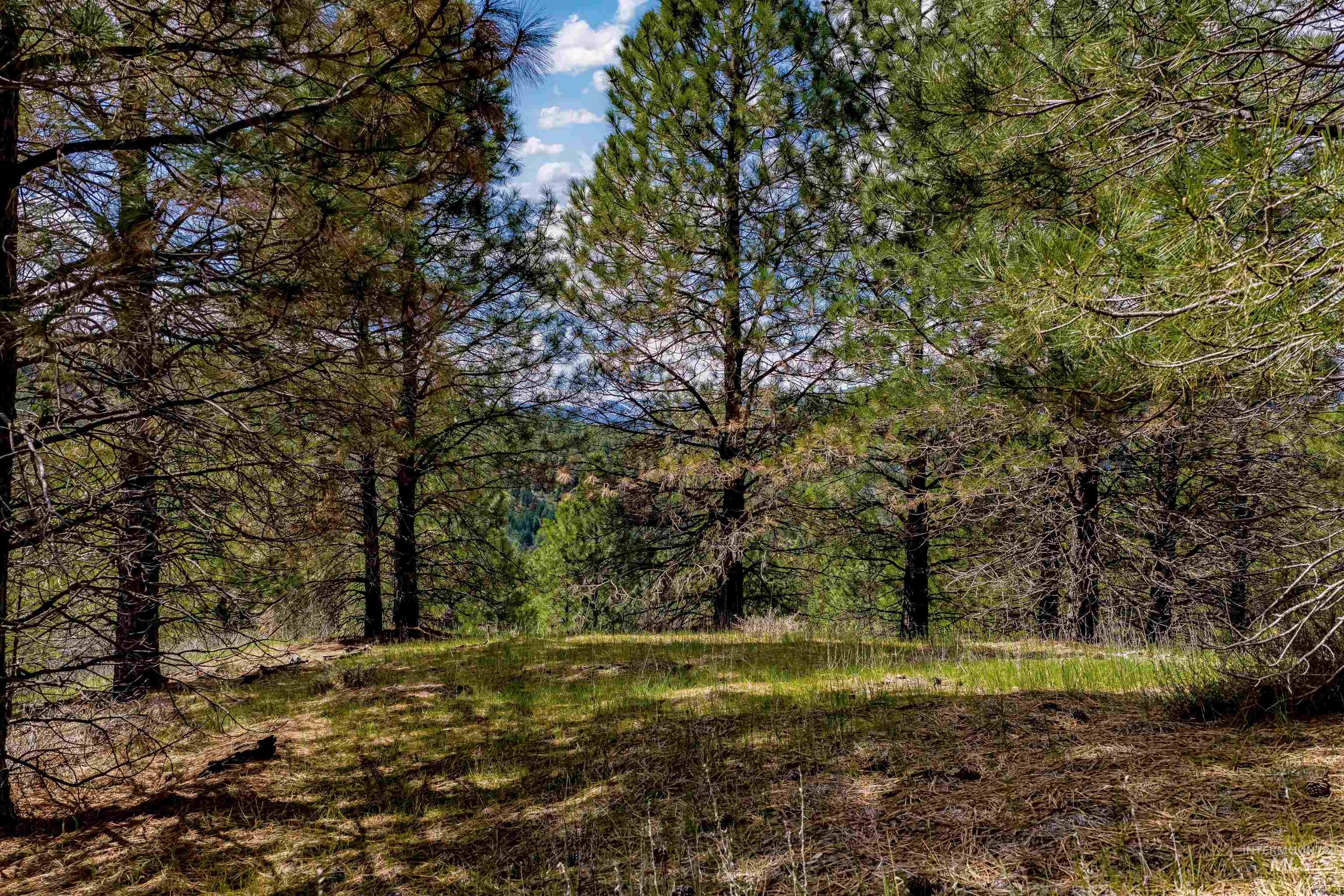 Tbd Trails End Way Property Photo 2