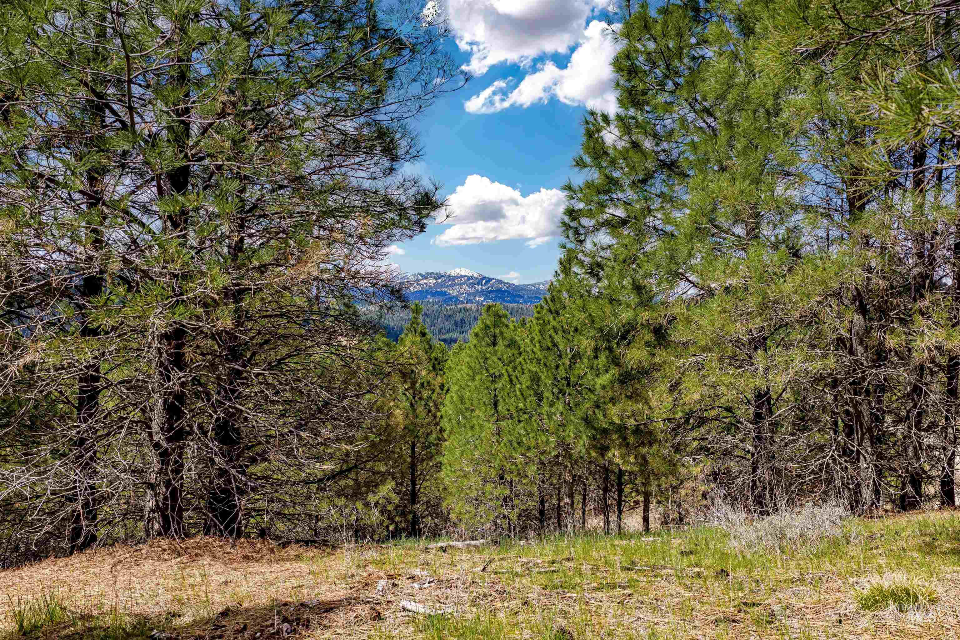 Tbd Trails End Way Property Photo 3