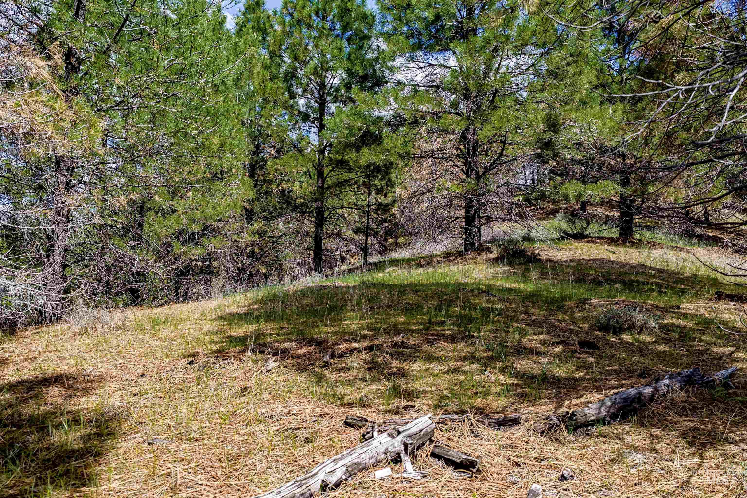 Tbd Trails End Way Property Photo 4
