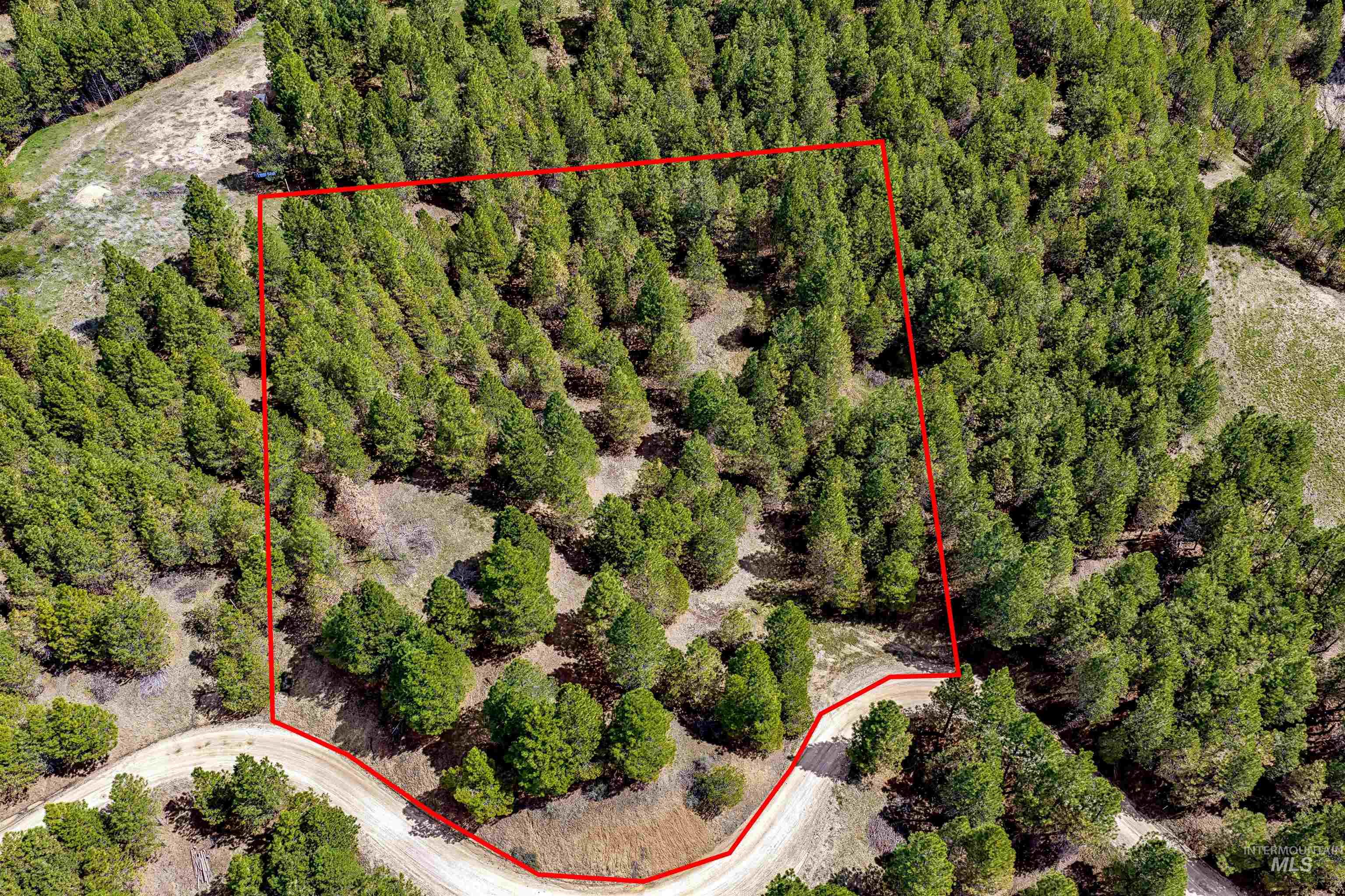 Tbd Trails End Way Property Photo 5