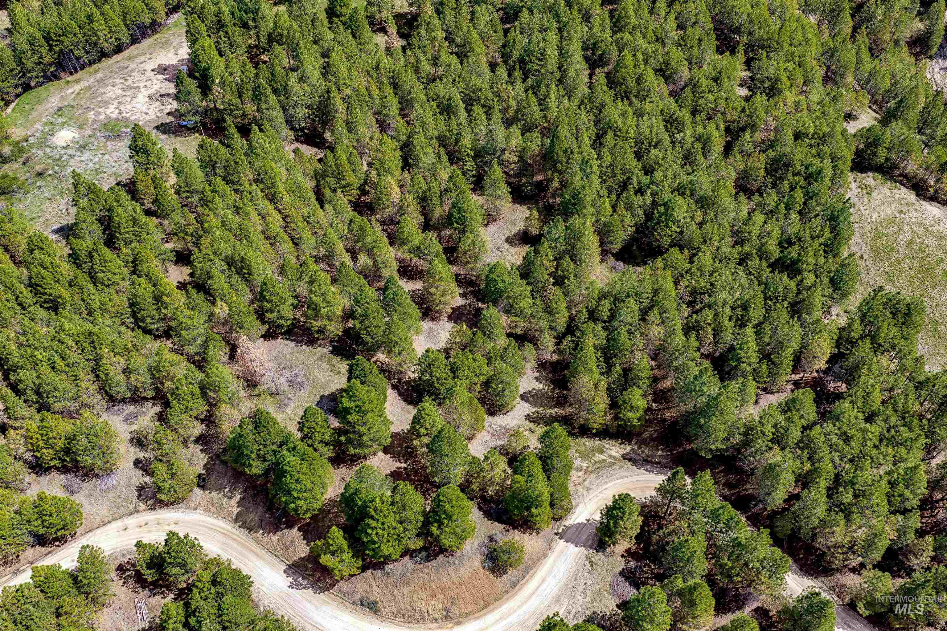 Tbd Trails End Way Property Photo 13