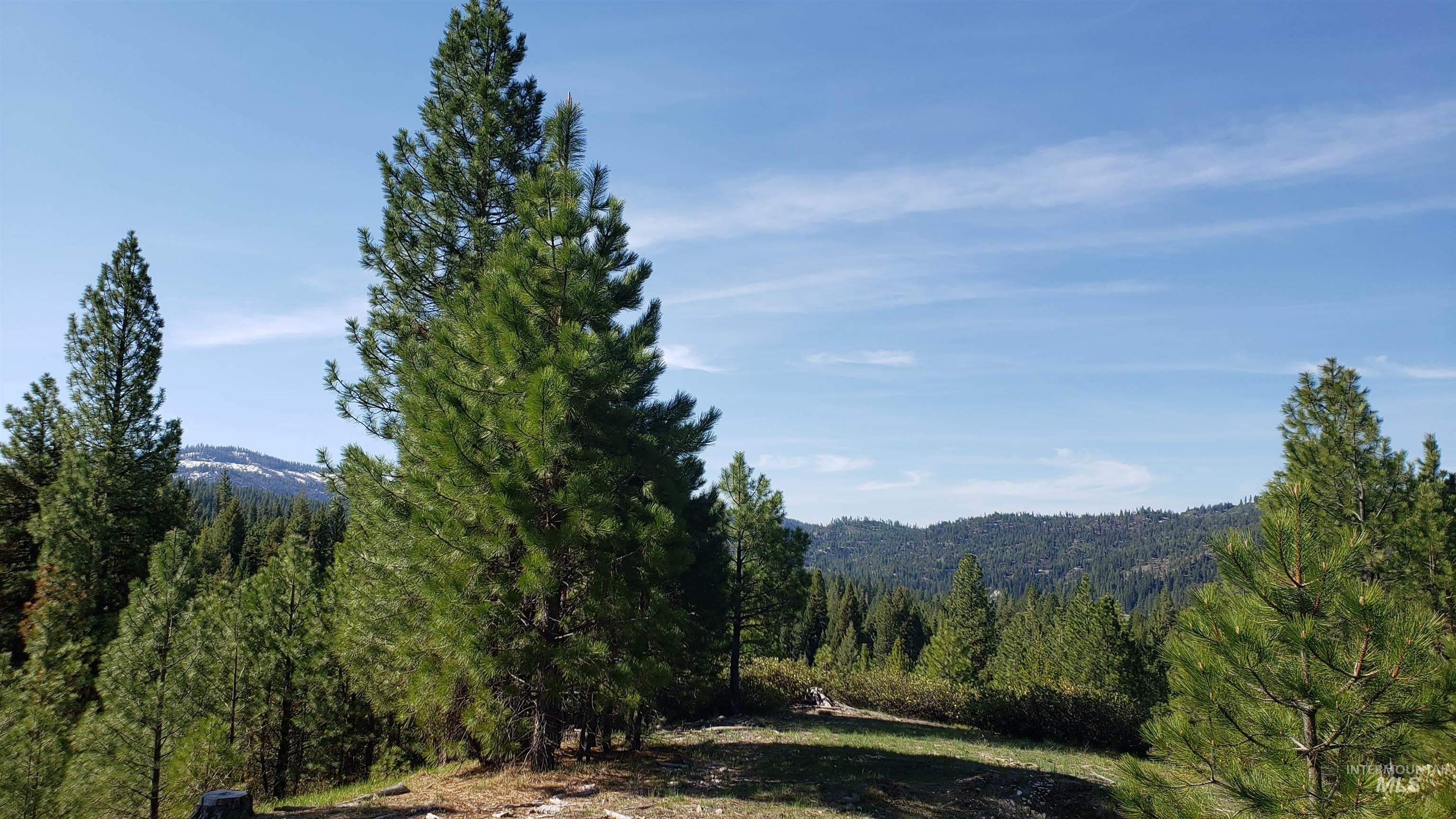 20.01 Ac Tbd Smith Ferry Dr Property Photo 1