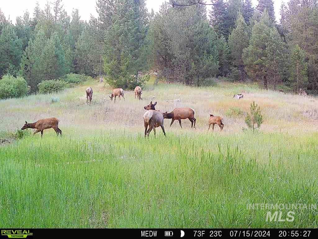 20.01 Ac Tbd Smith Ferry Dr Property Photo 2